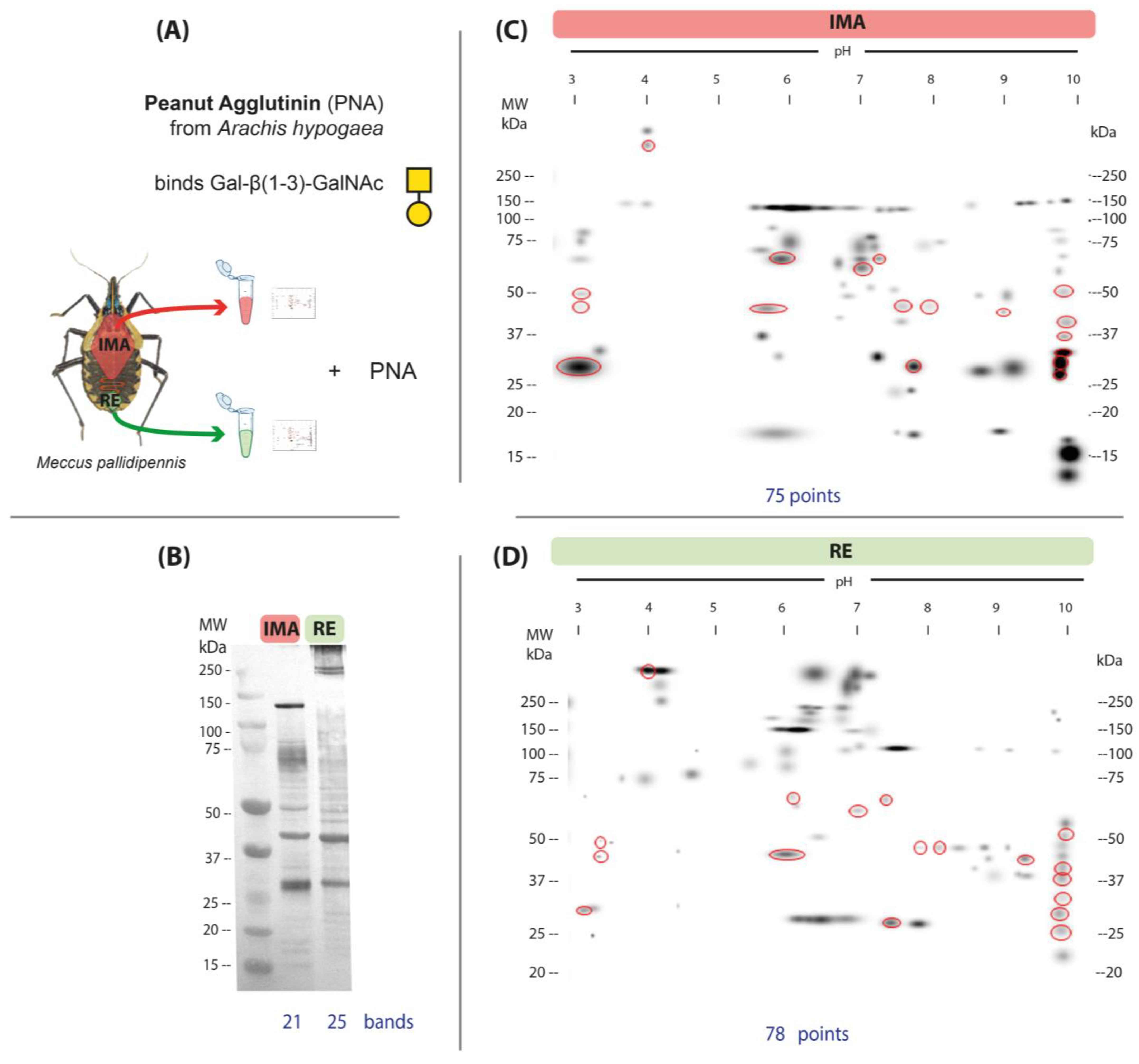 Microorganisms 13 00058 g004