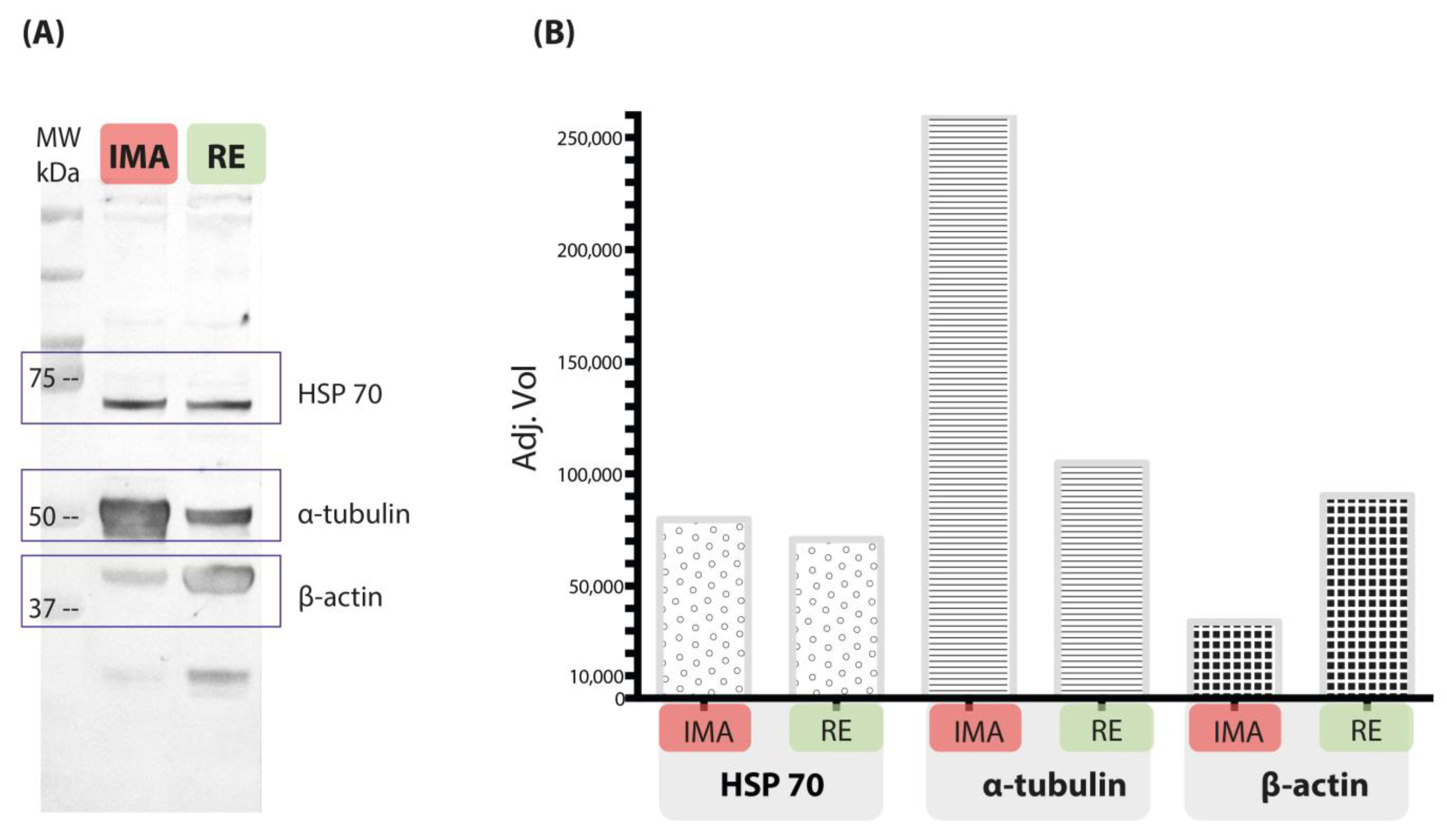 Microorganisms 13 00058 g006