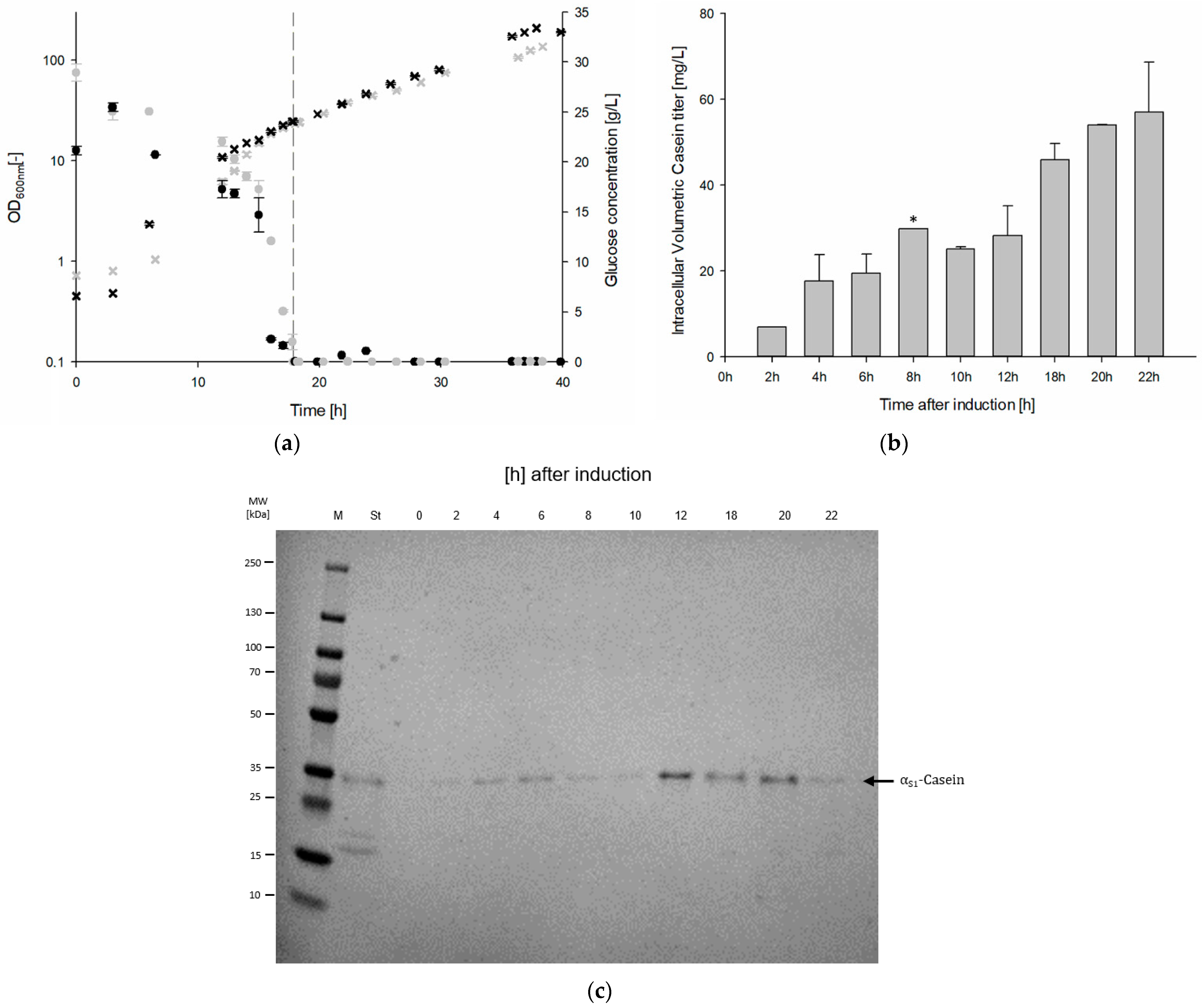 Microorganisms 13 00060 g002