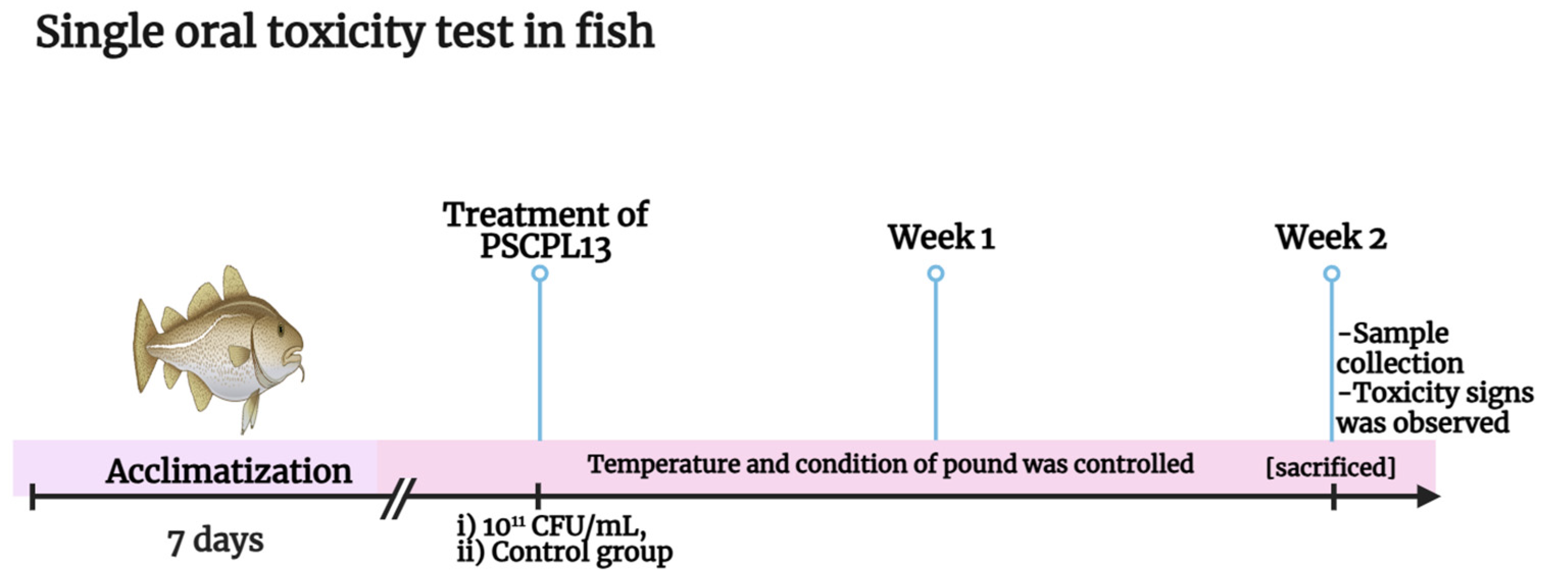 Microorganisms 13 00061 g001