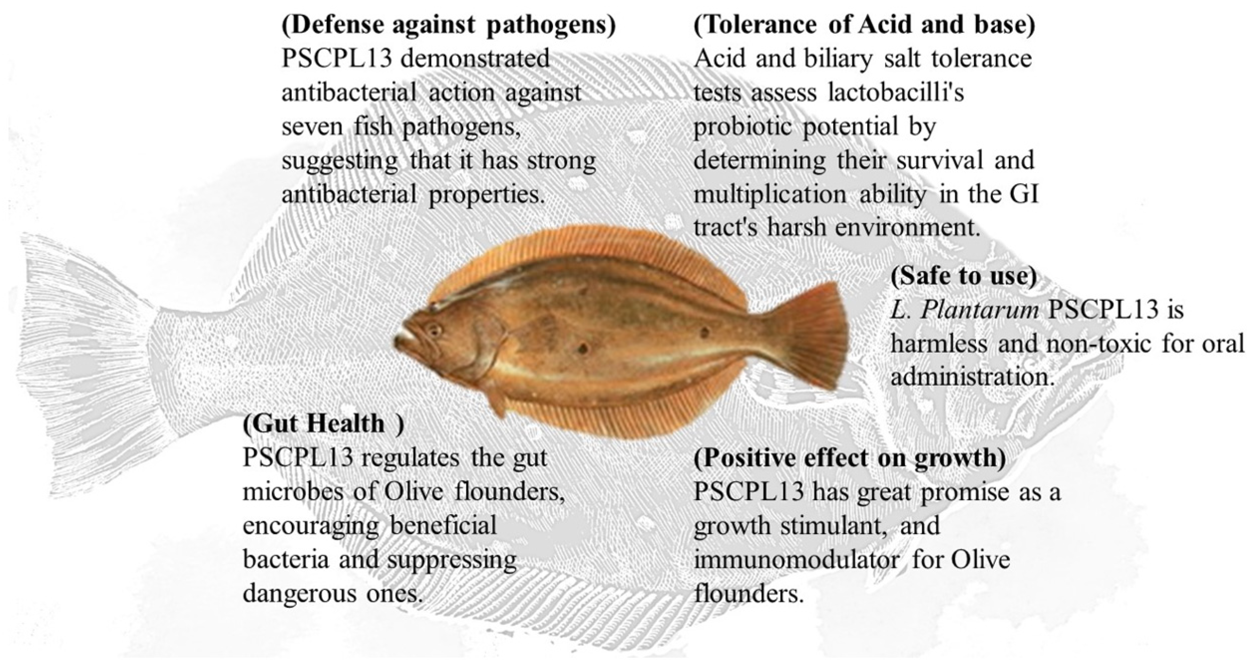 Microorganisms 13 00061 g012