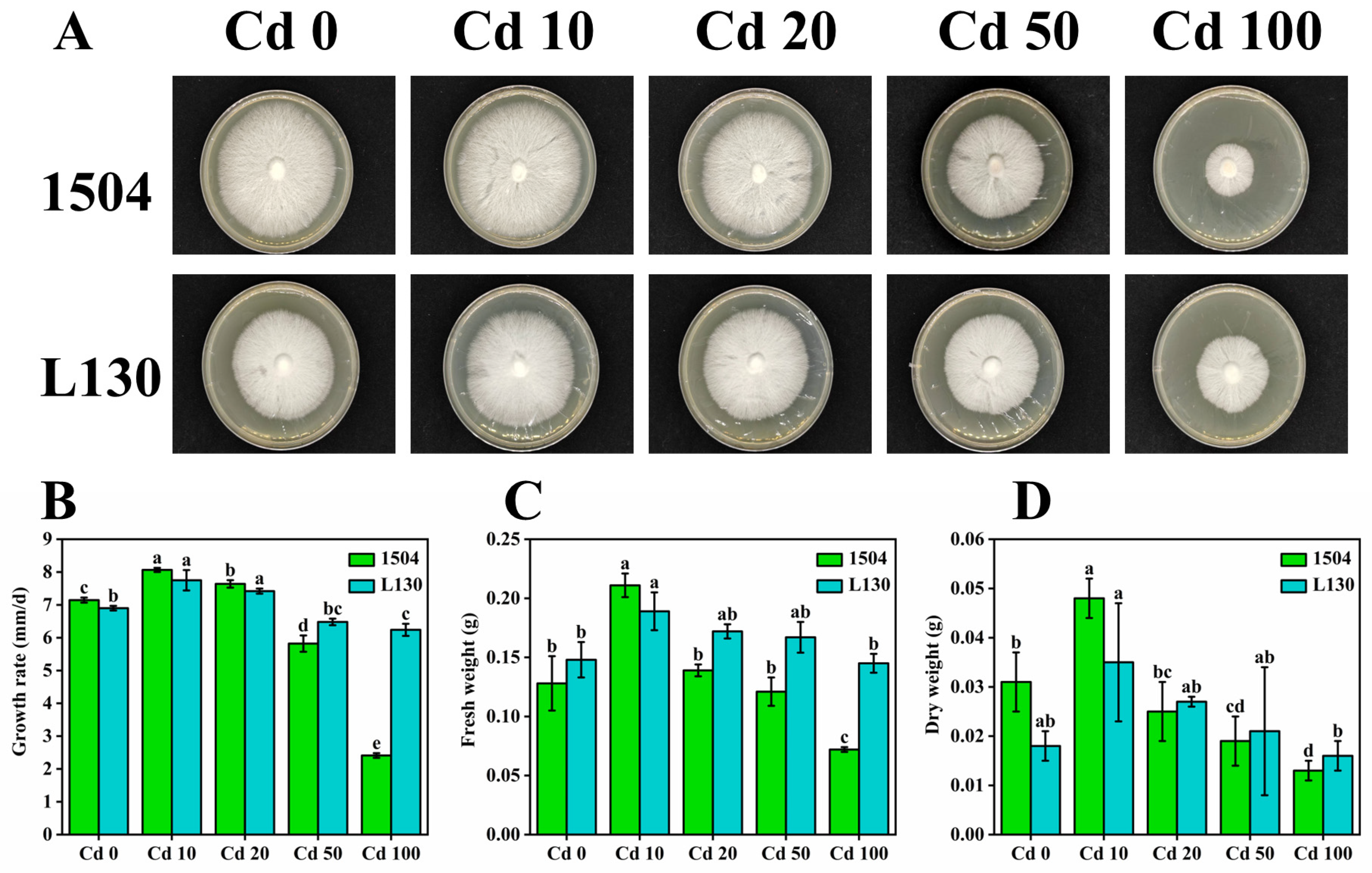 Microorganisms 13 00062 g001