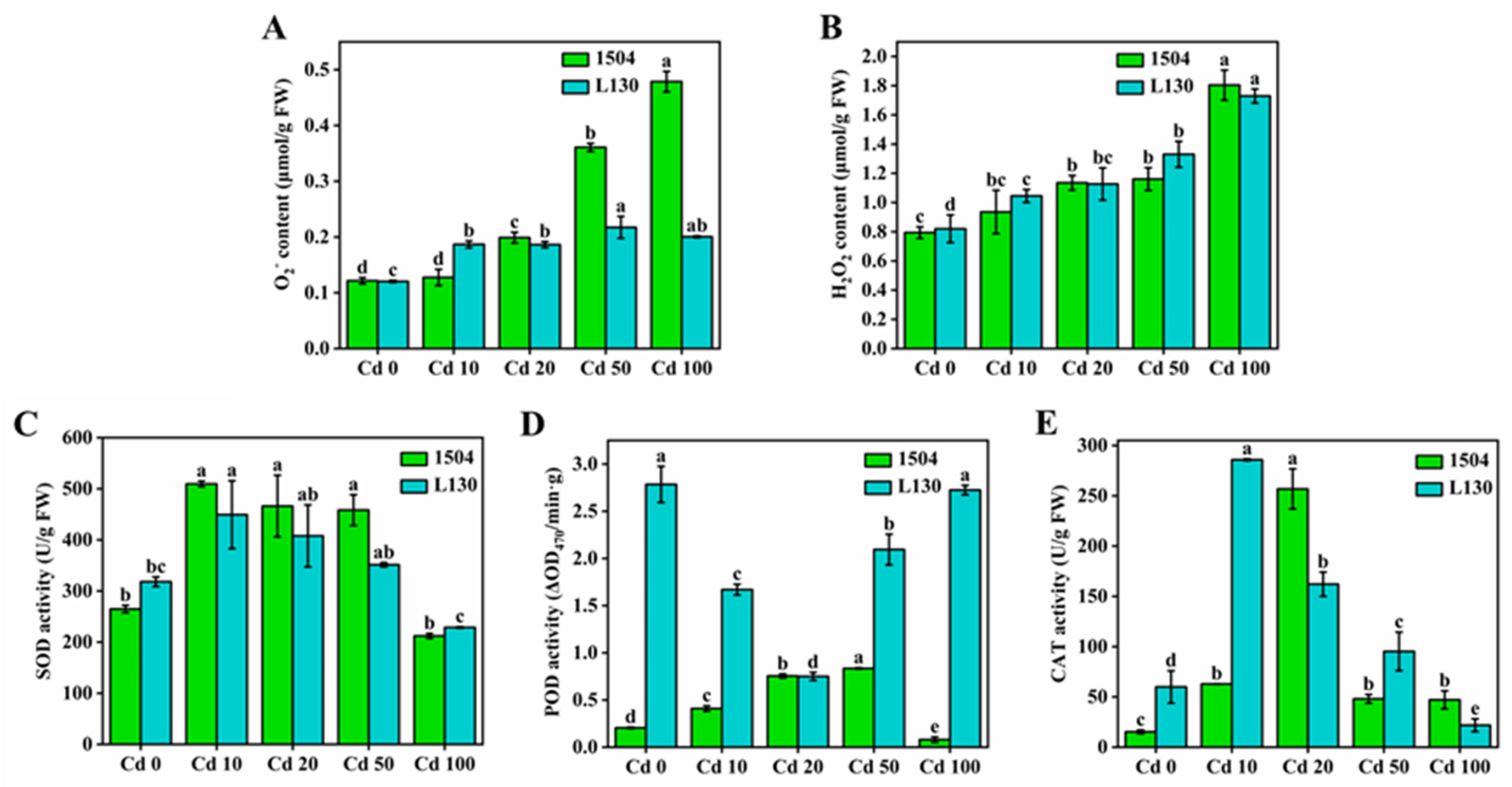 Microorganisms 13 00062 g005
