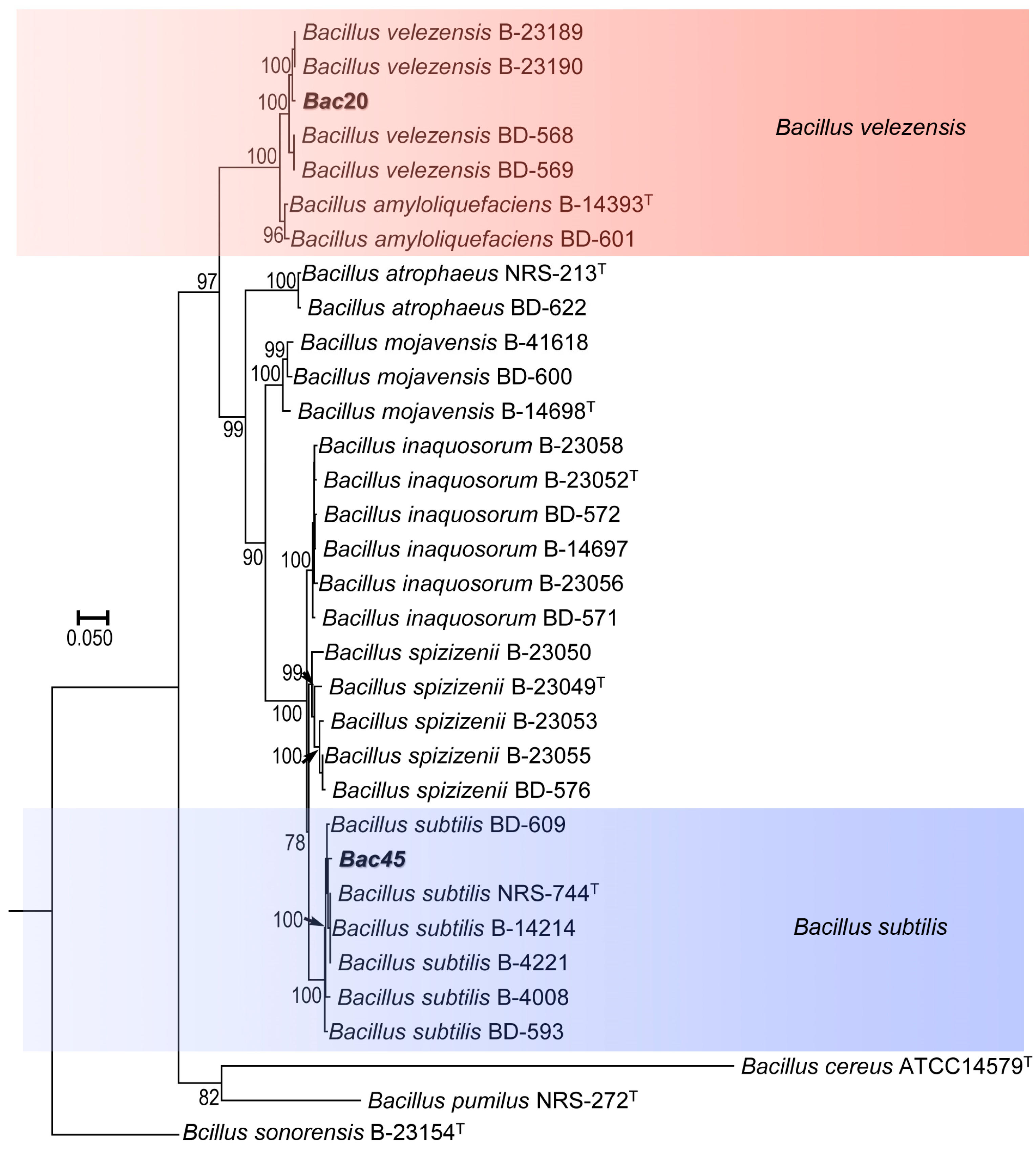 Microorganisms 13 00068 g003