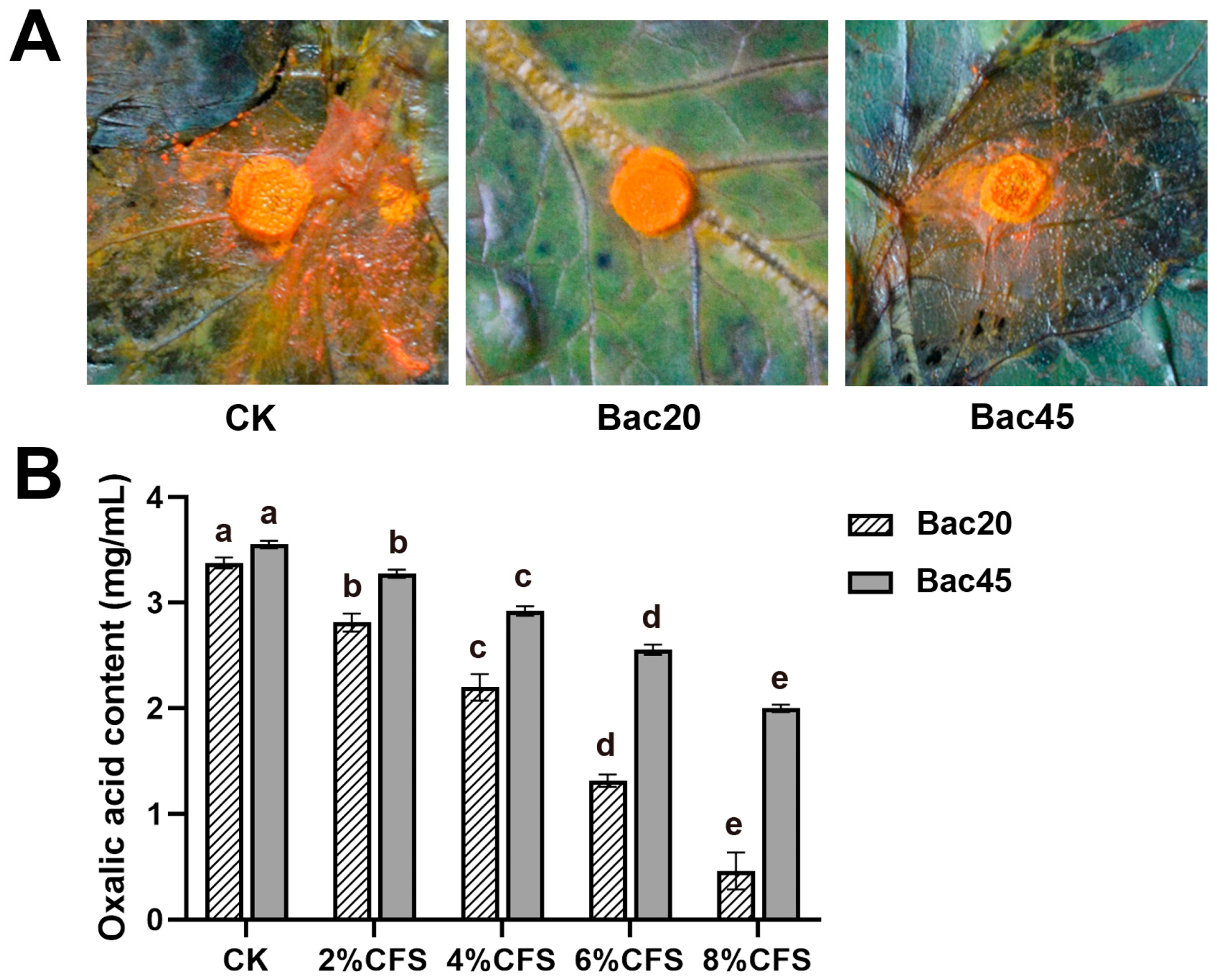 Microorganisms 13 00068 g006