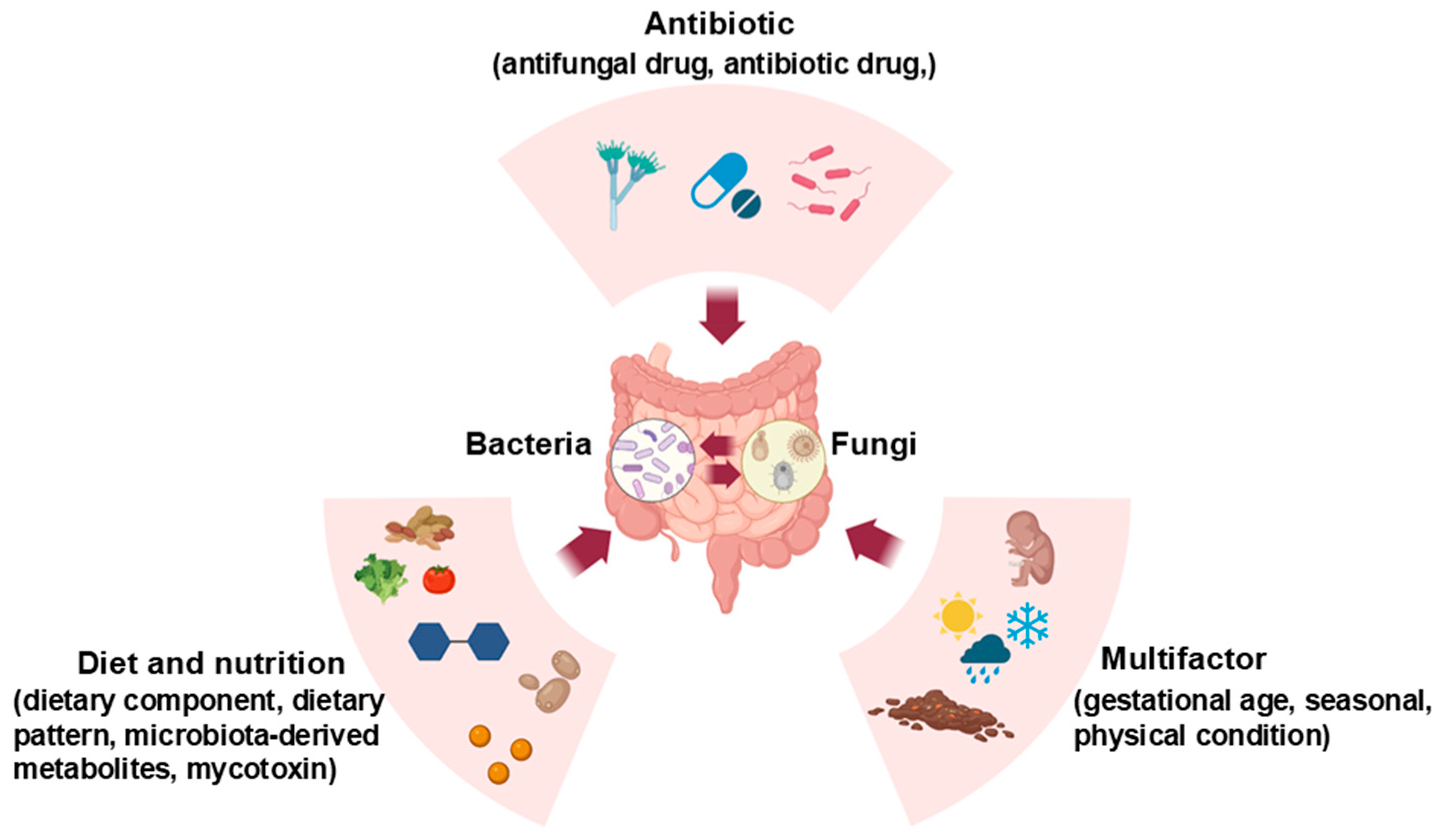 Microorganisms 13 00070 g001
