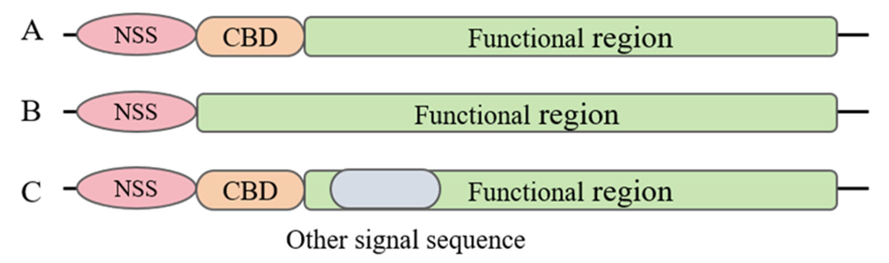 Microorganisms 13 00075 g002