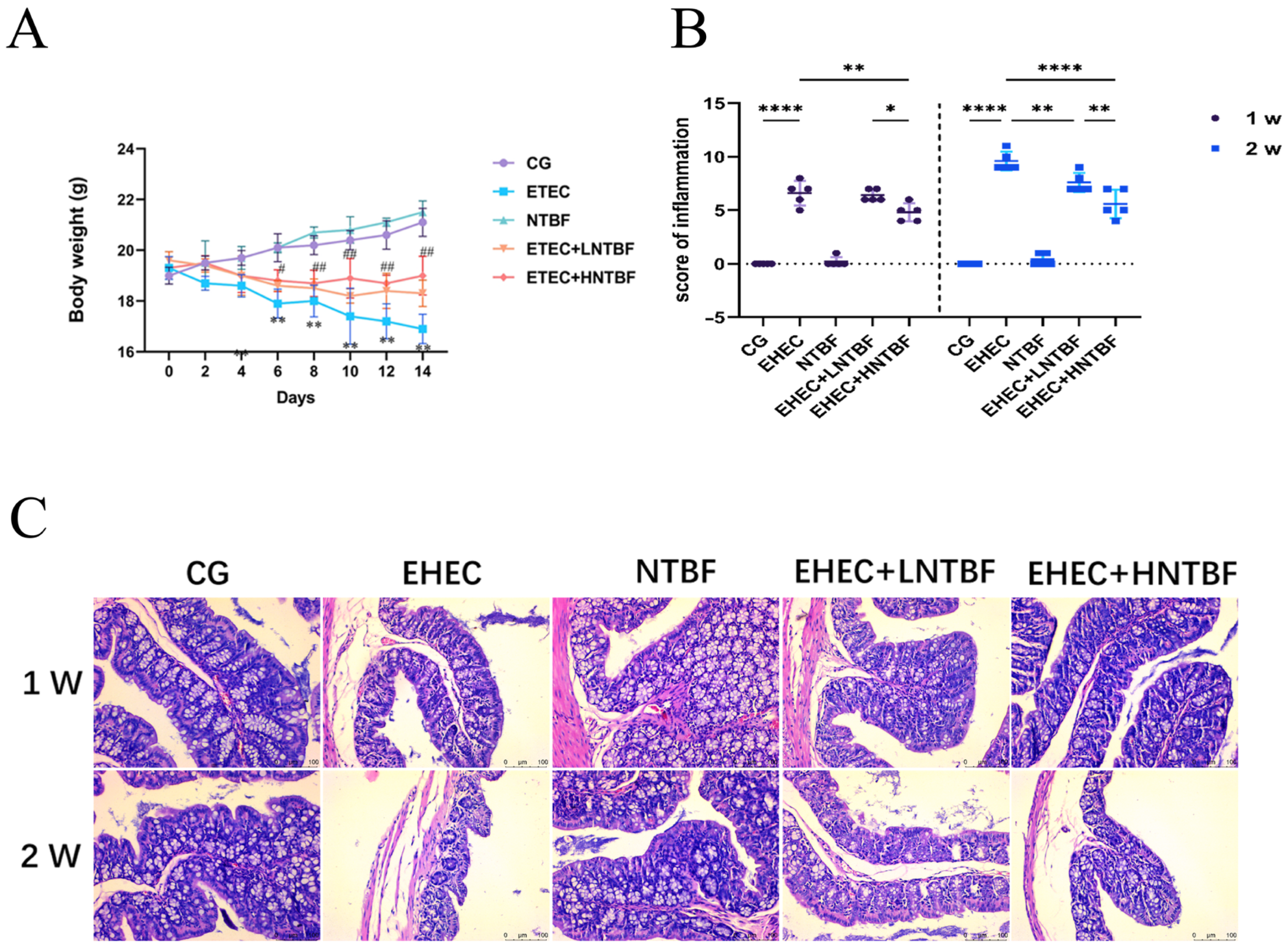 Microorganisms 13 00087 g002