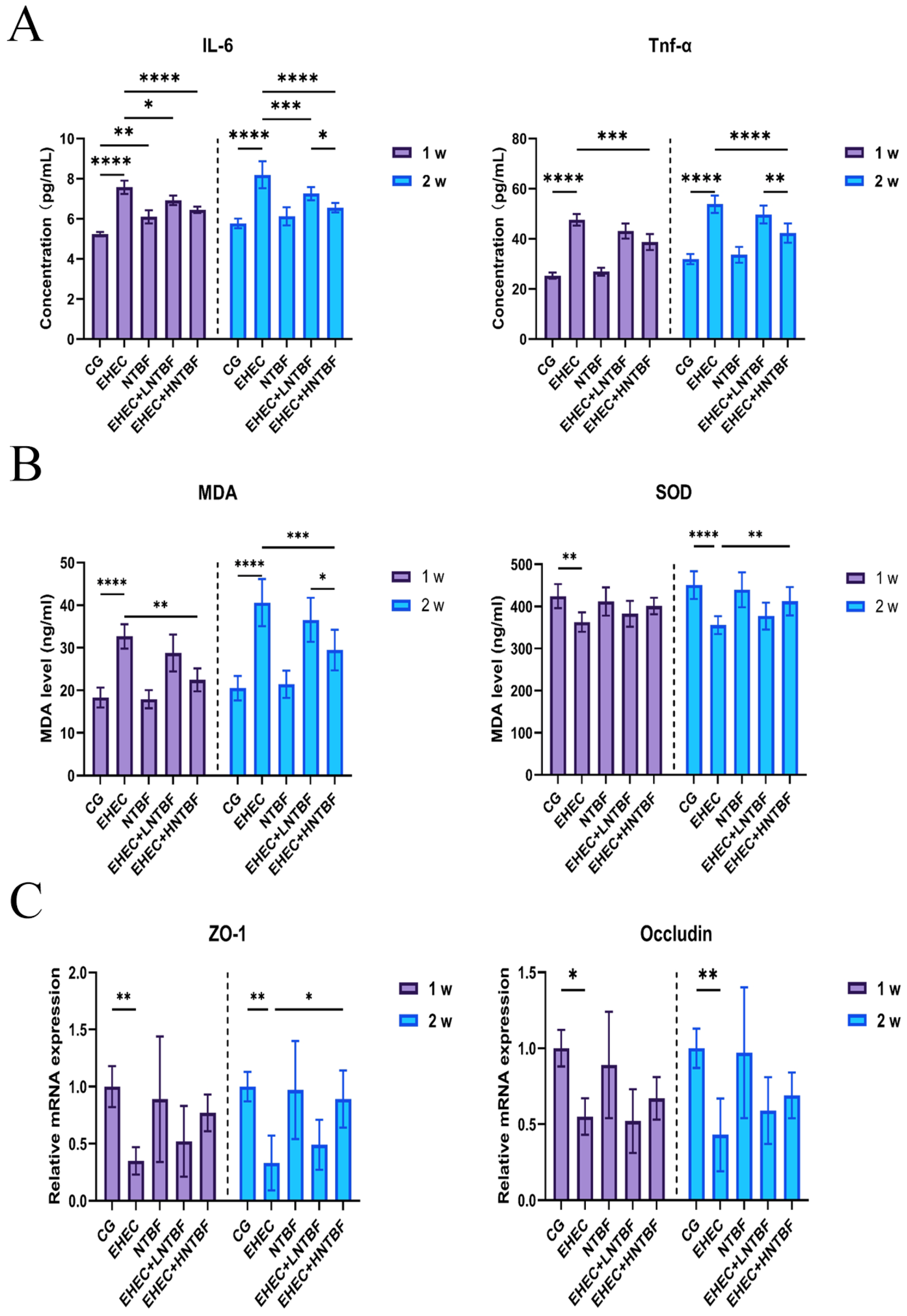 Microorganisms 13 00087 g003