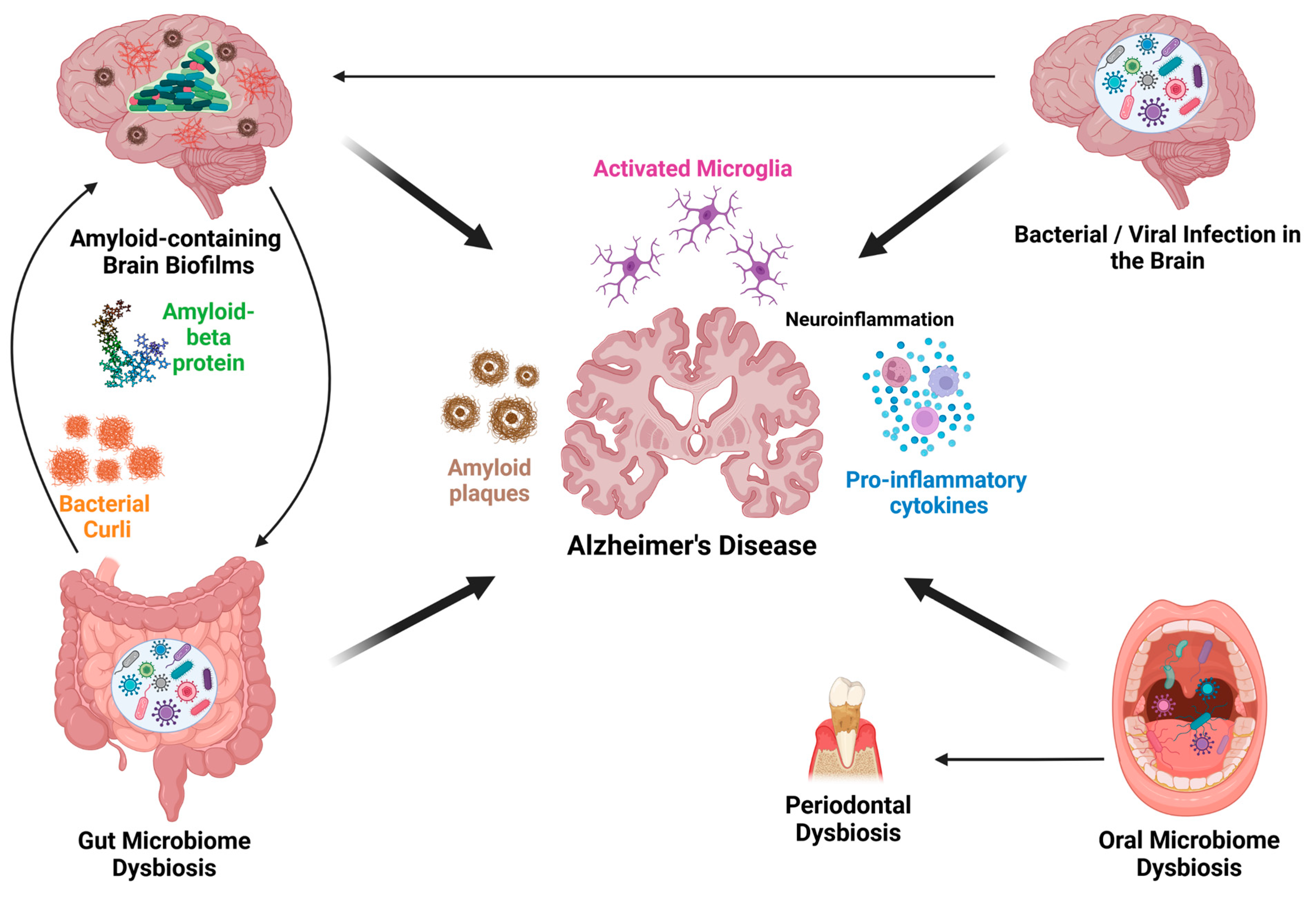 Microorganisms 13 00090 g001