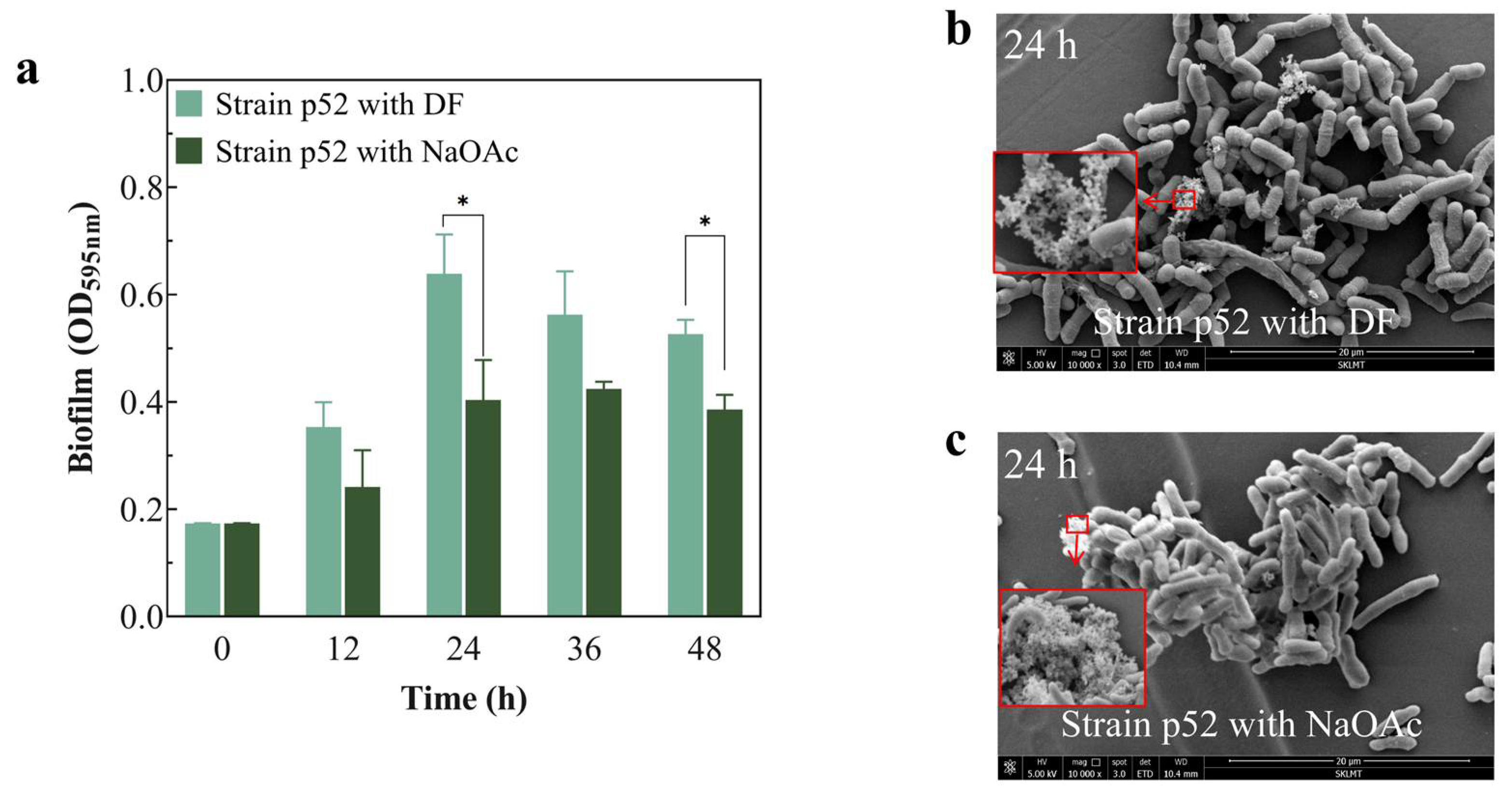Microorganisms 13 00093 g002