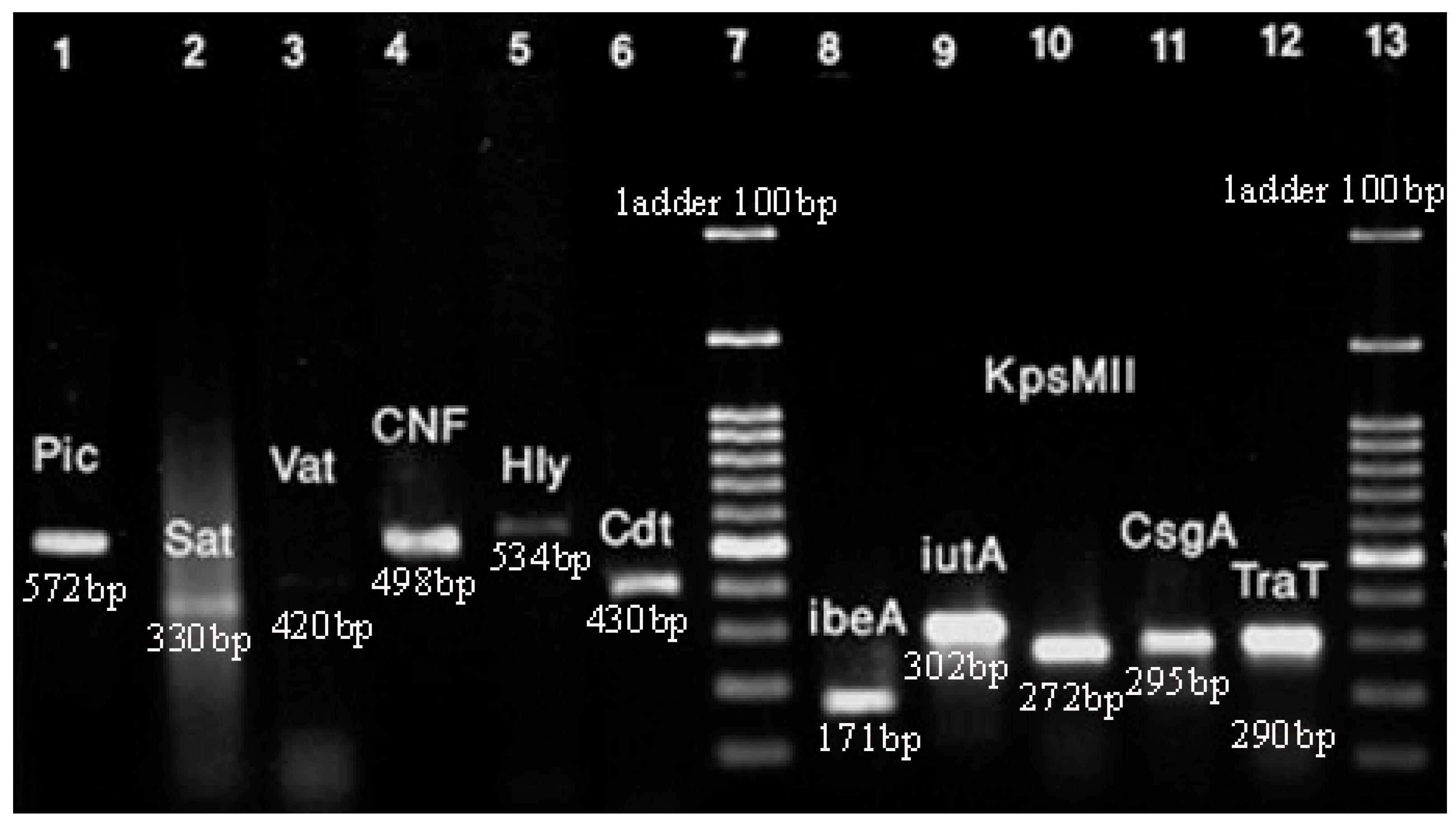 Microorganisms 13 00095 g003