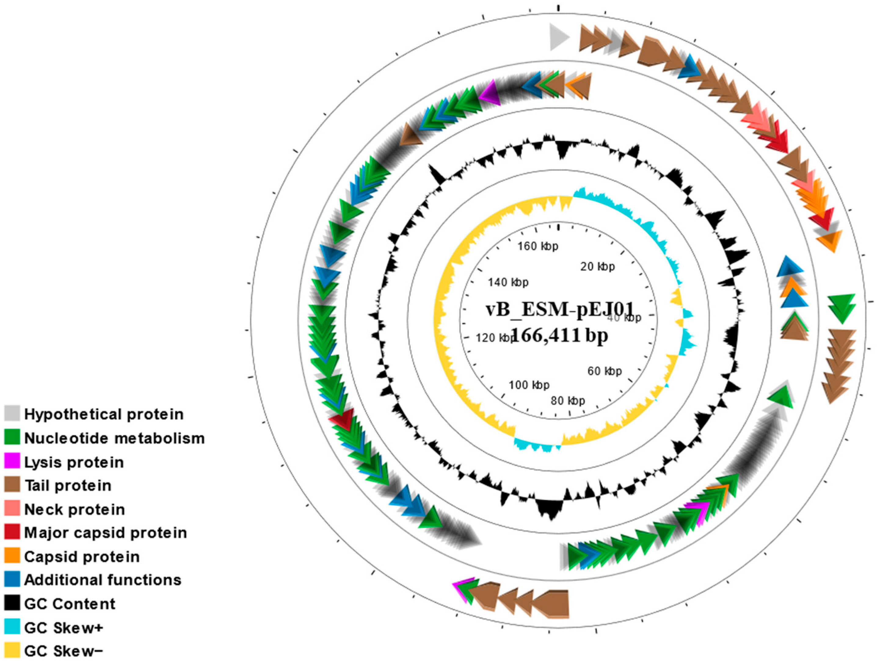 Microorganisms 13 00103 g004