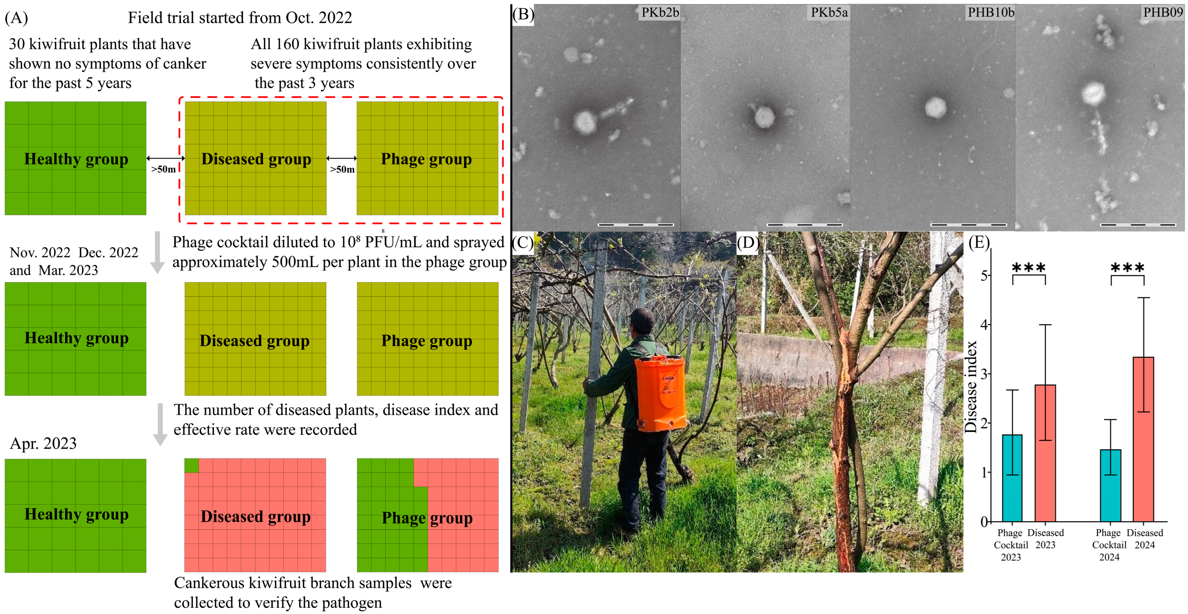 Microorganisms 13 00104 g001