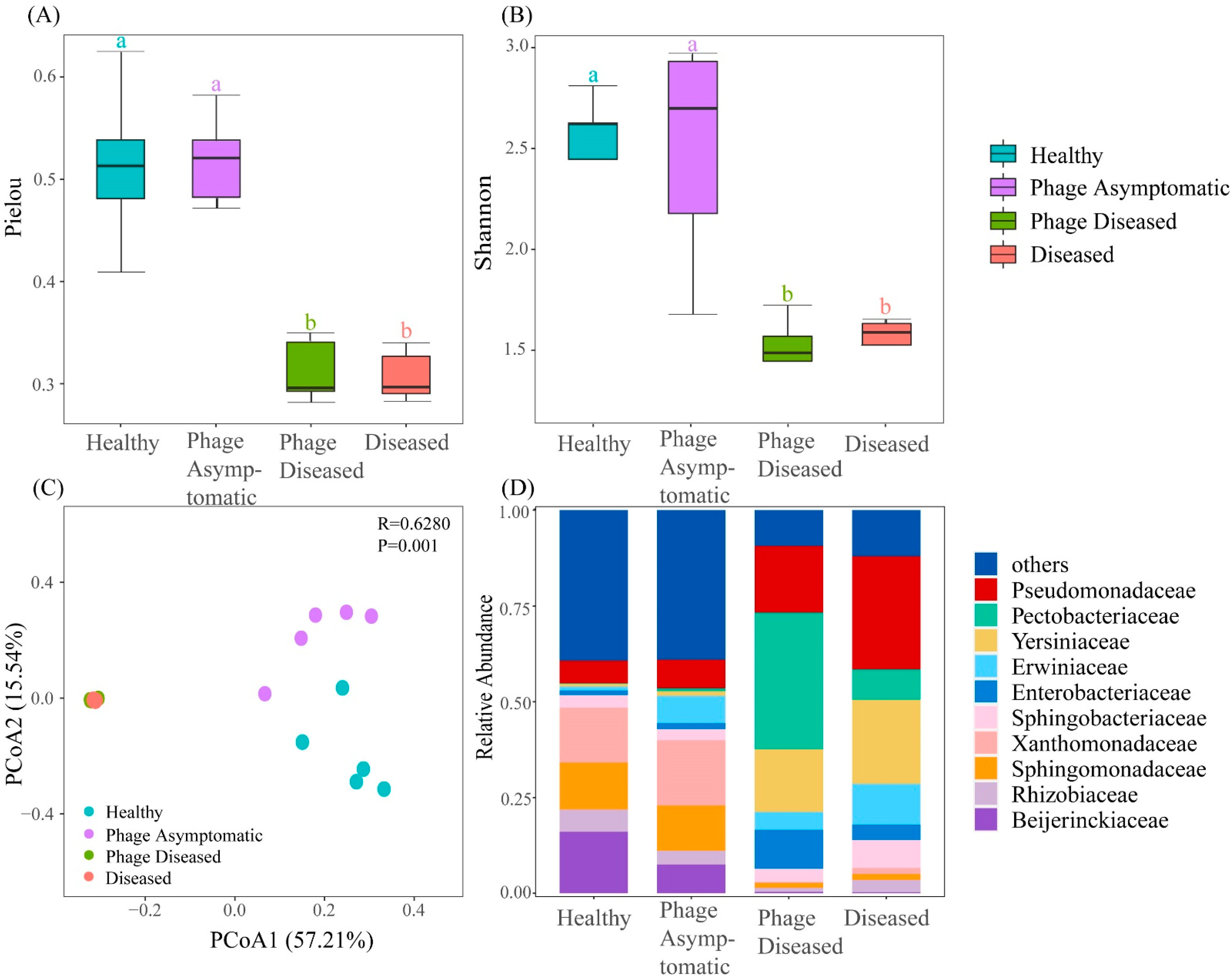 Microorganisms 13 00104 g002