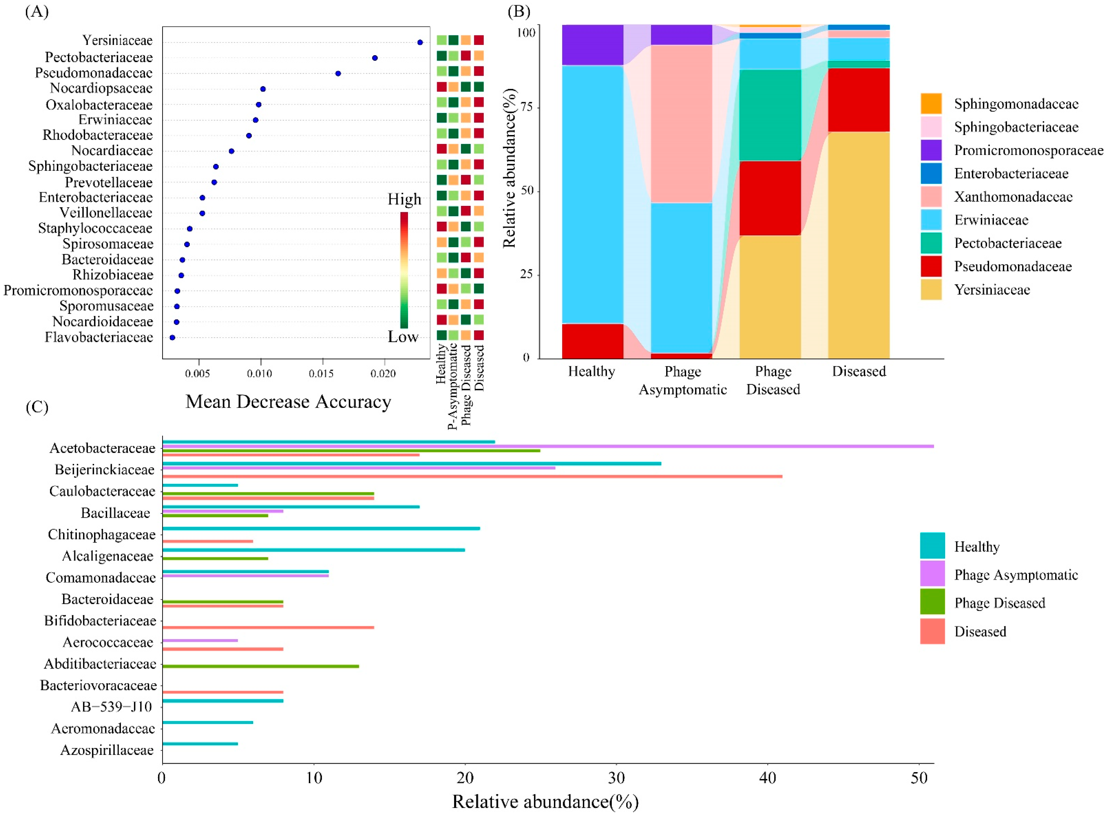 Microorganisms 13 00104 g005