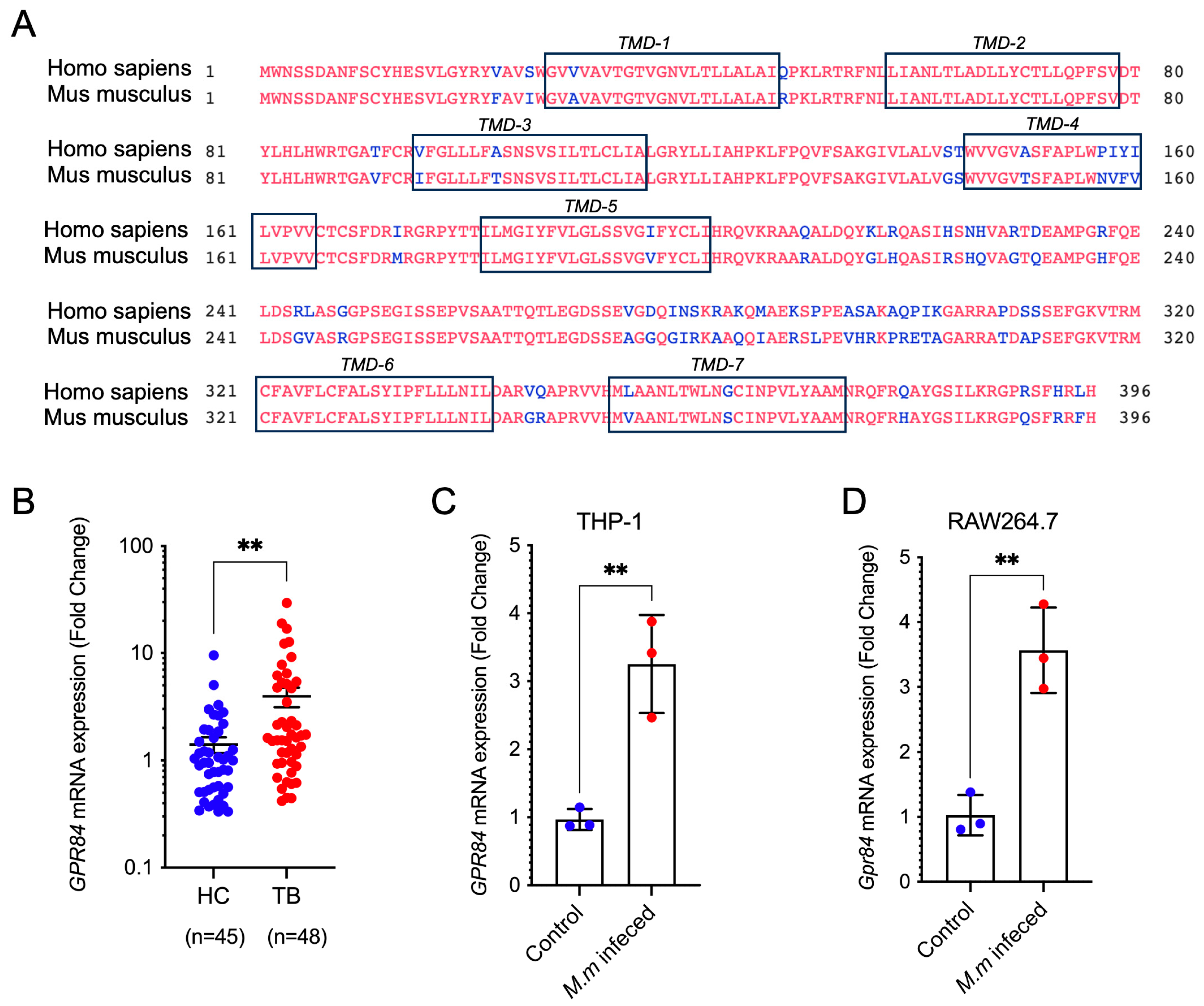 Microorganisms 13 00110 g001
