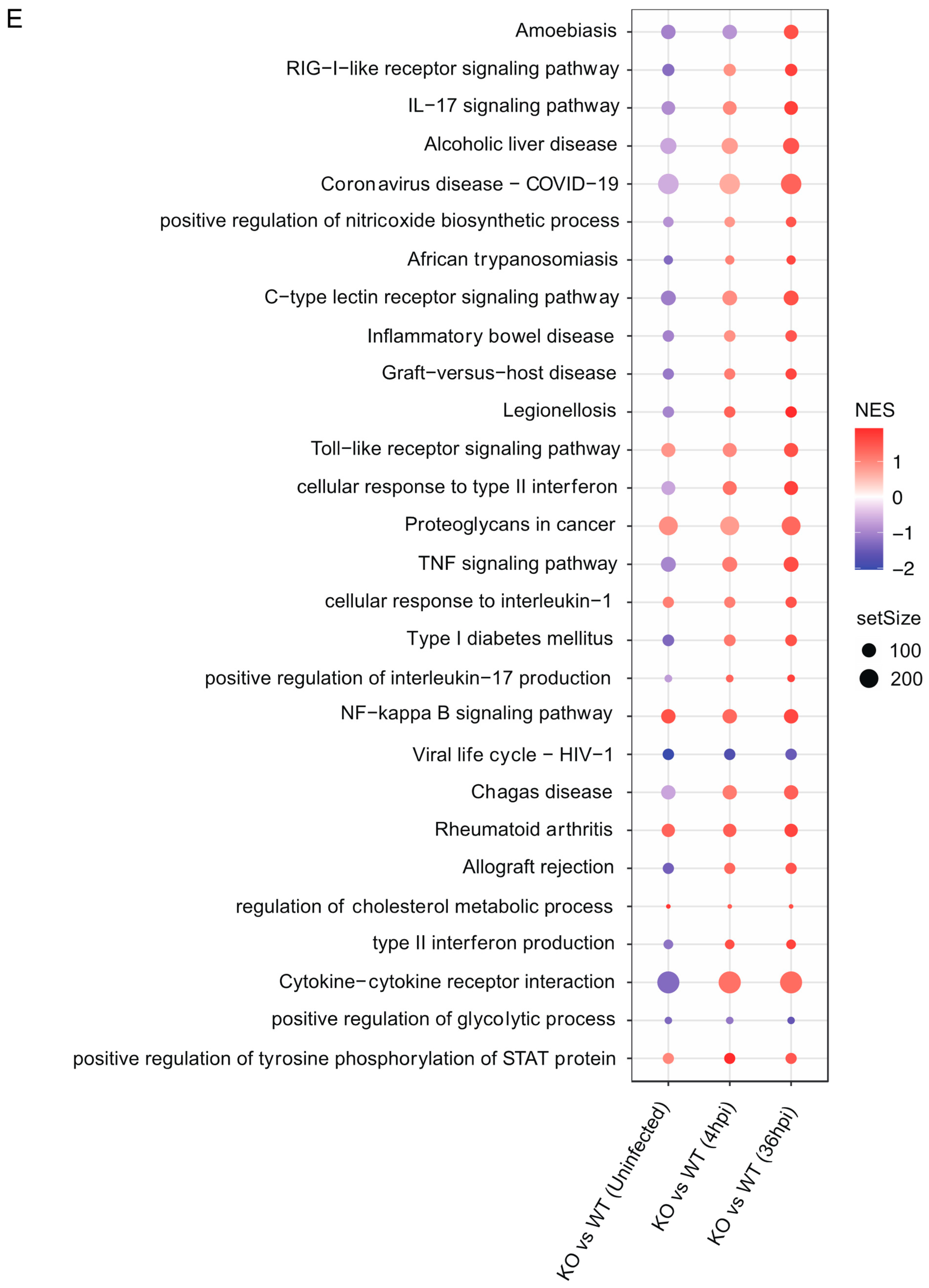 Microorganisms 13 00110 g004b
