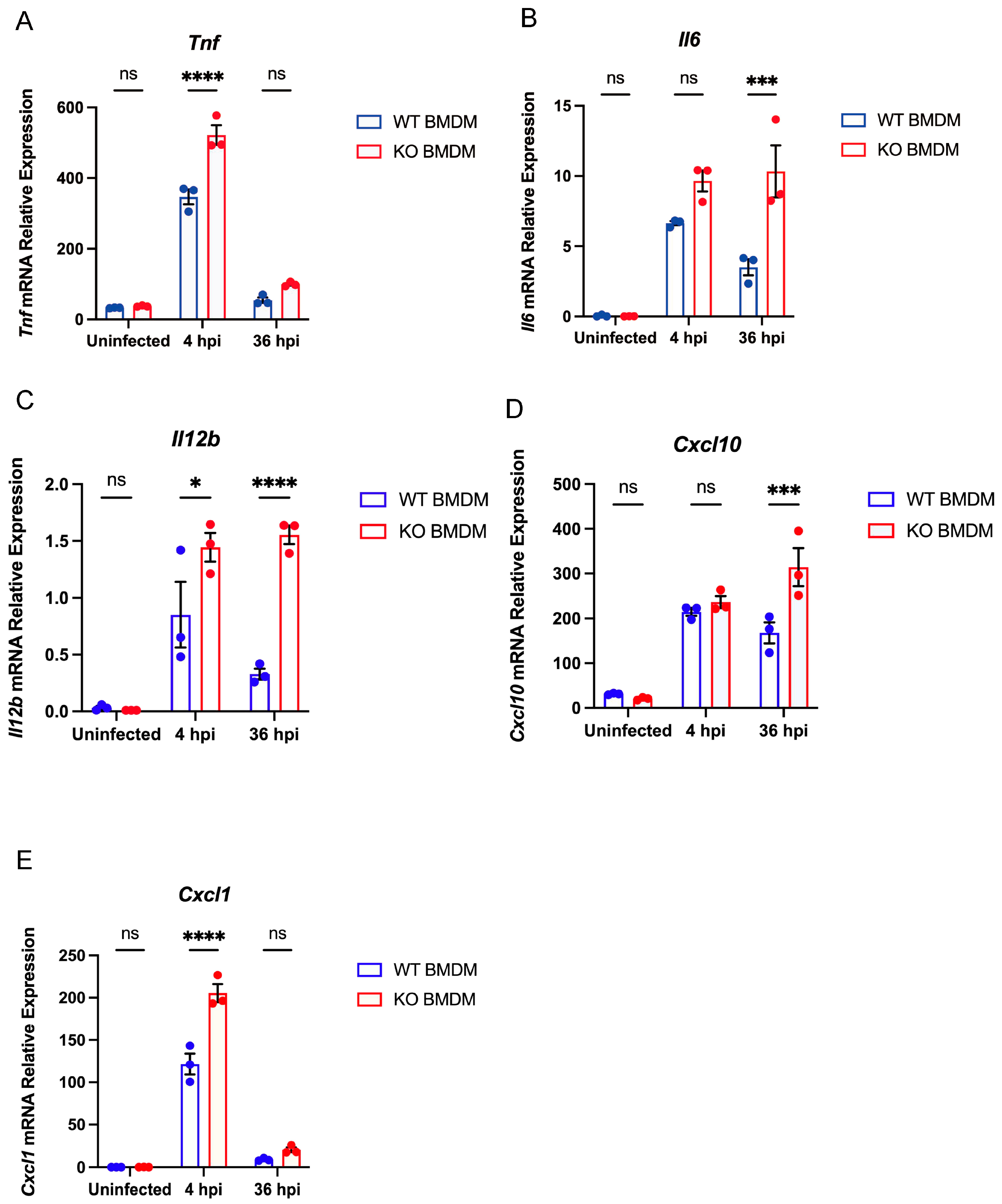 Microorganisms 13 00110 g005