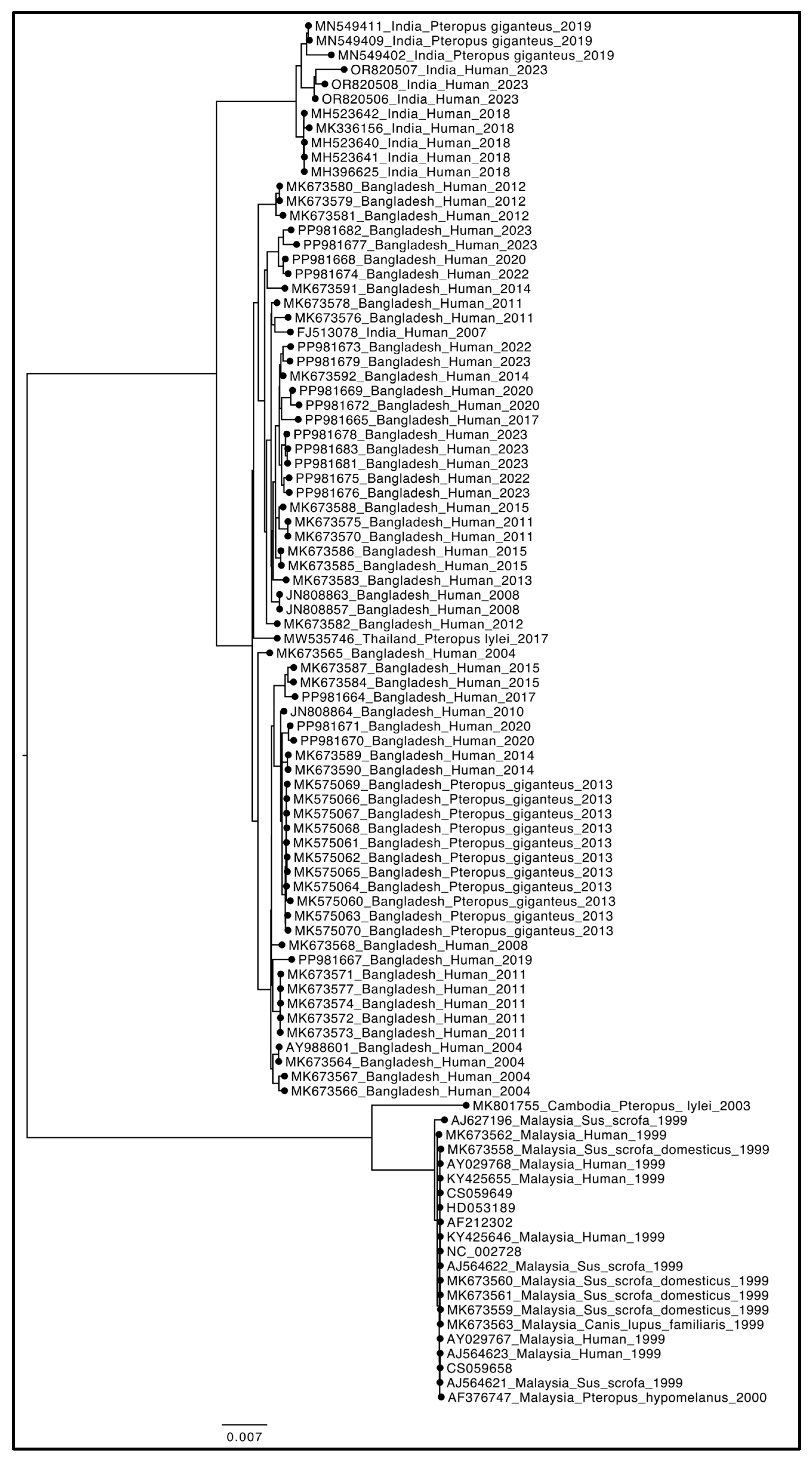 Microorganisms 13 00124 g003