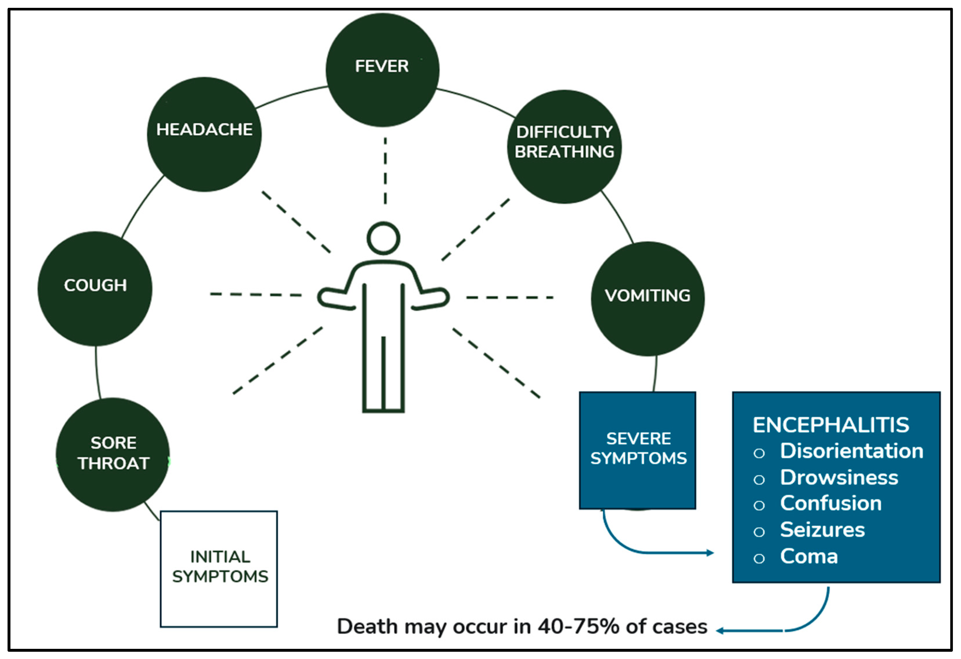 Microorganisms 13 00124 g005