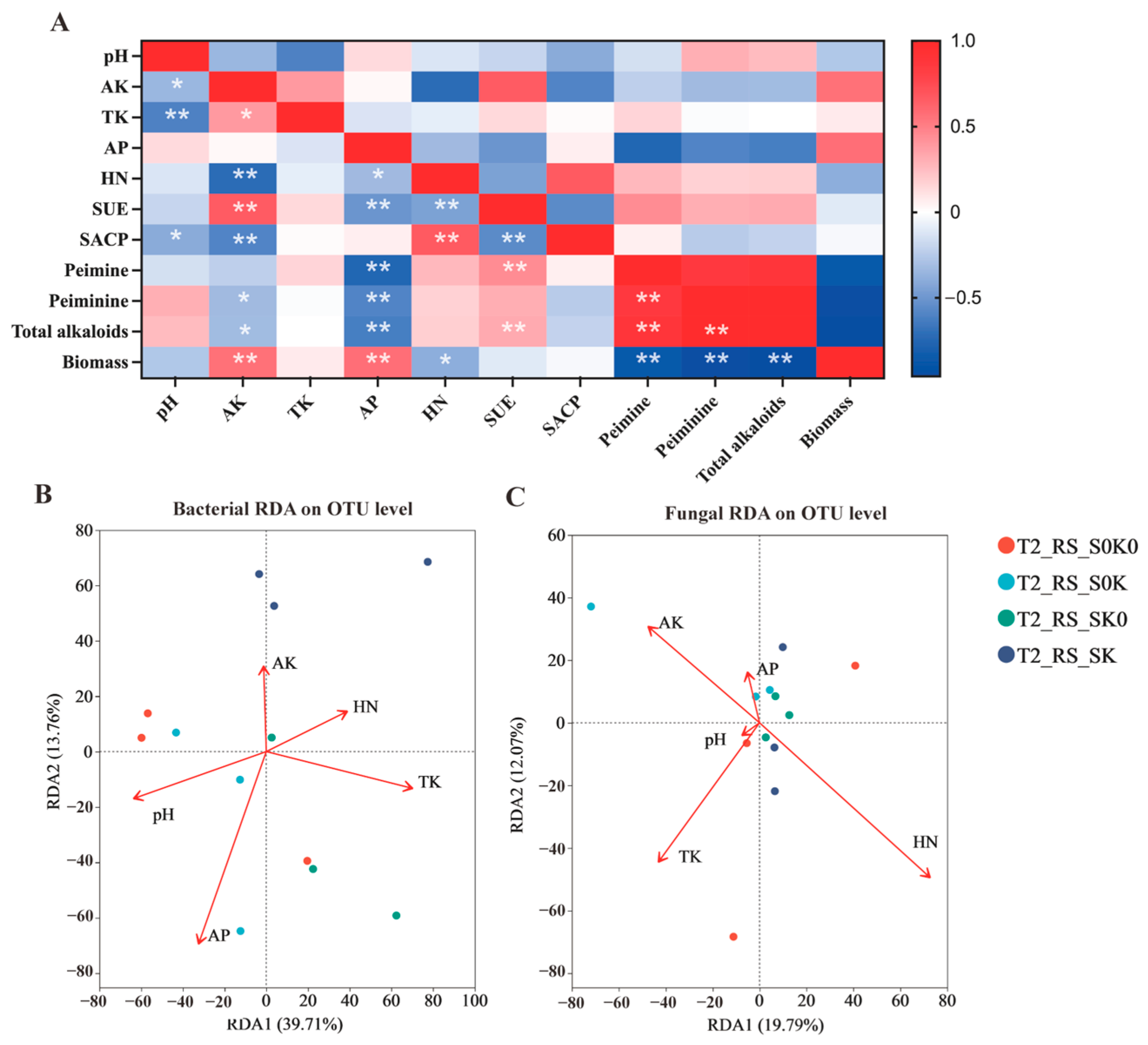 Microorganisms 13 00125 g008