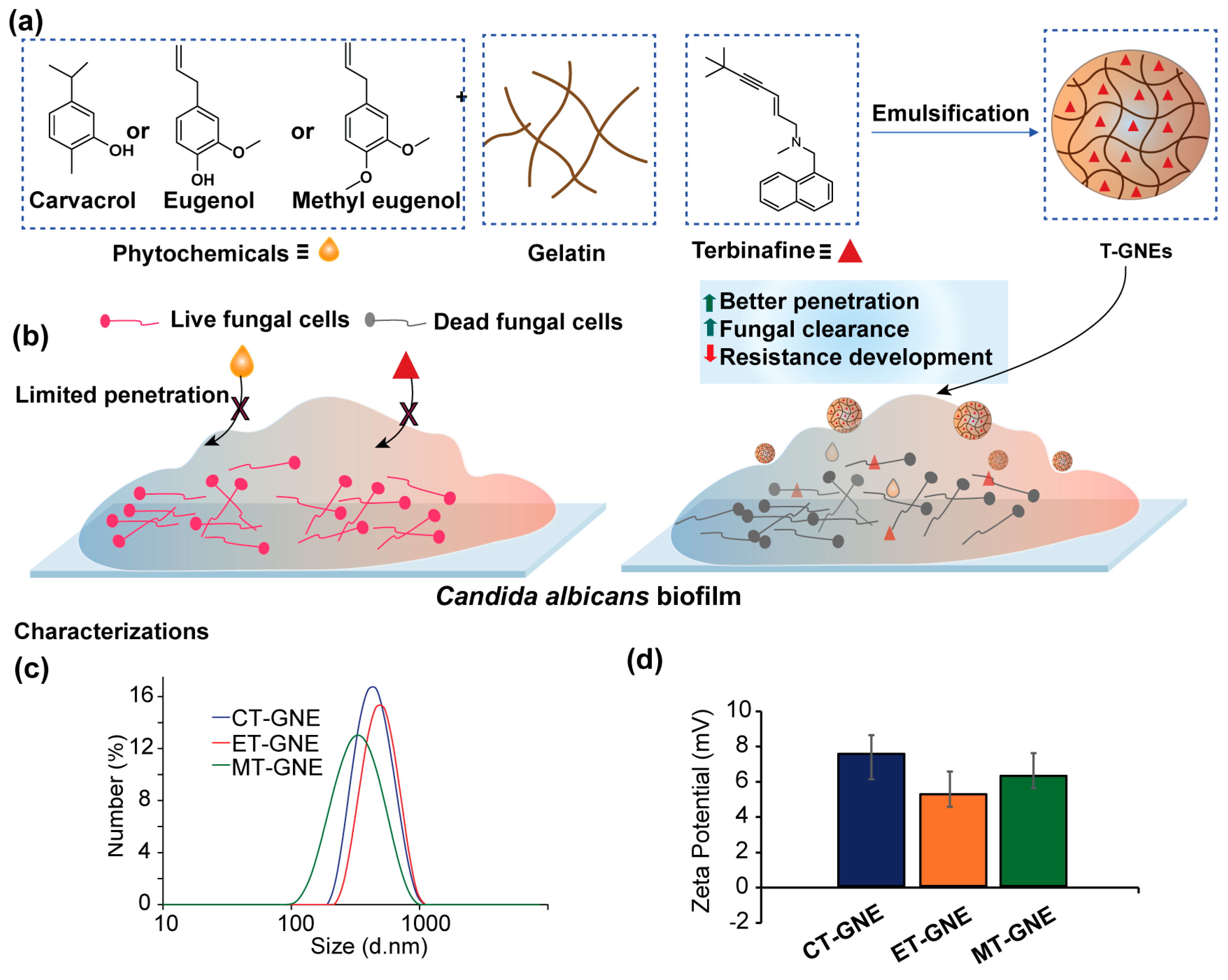 Microorganisms 13 00127 g001