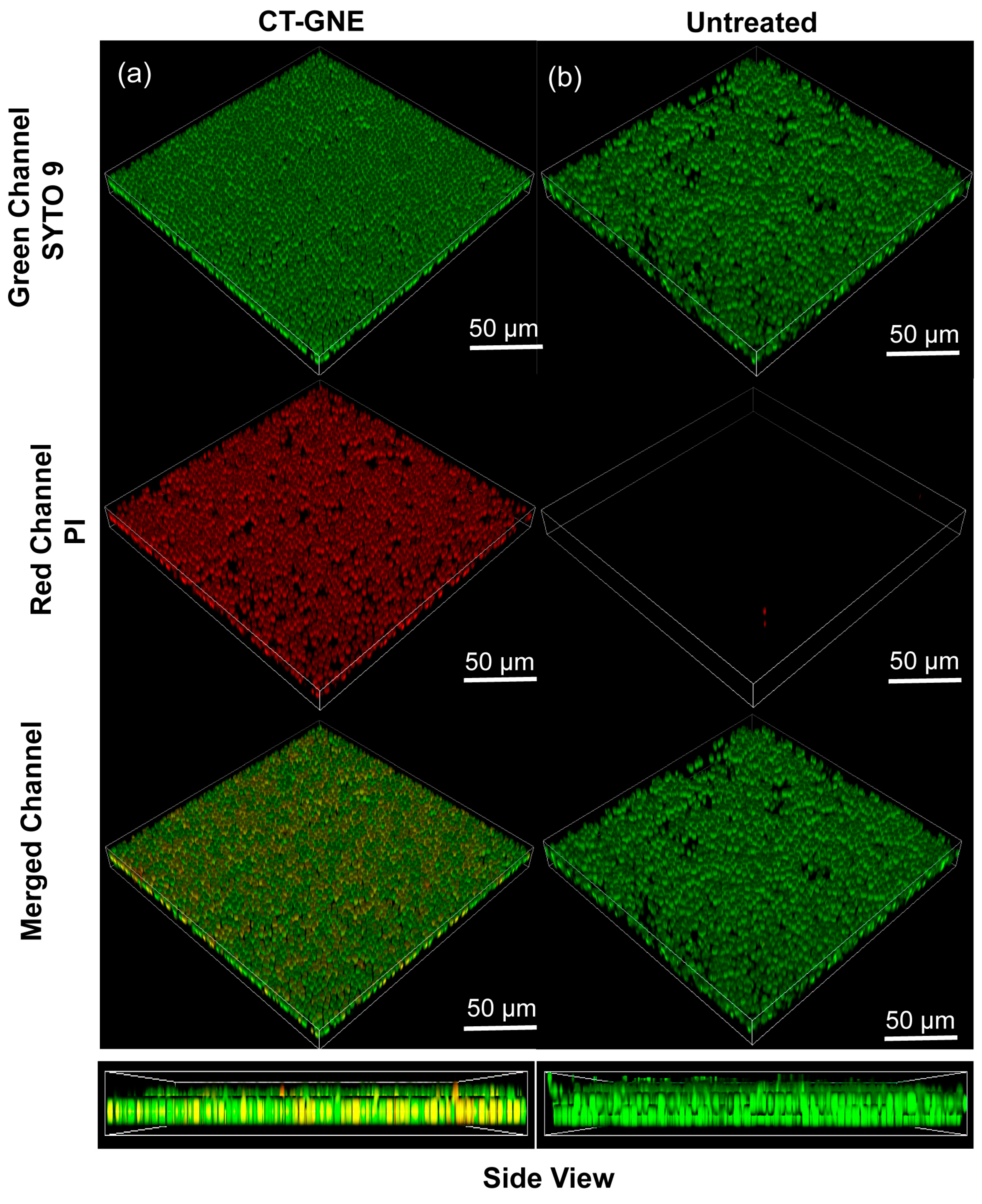 Microorganisms 13 00127 g004
