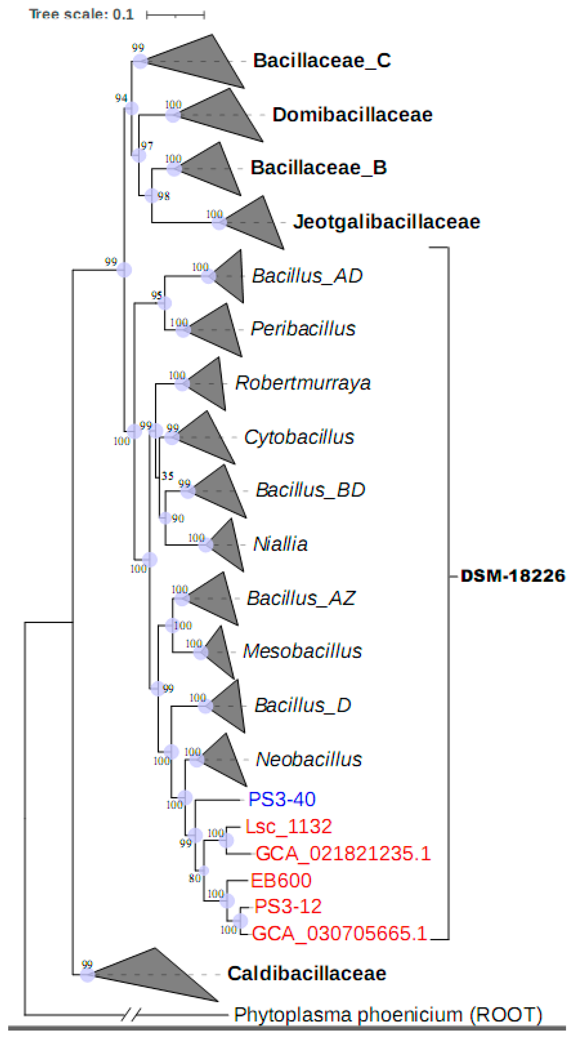 Microorganisms 13 00132 g003
