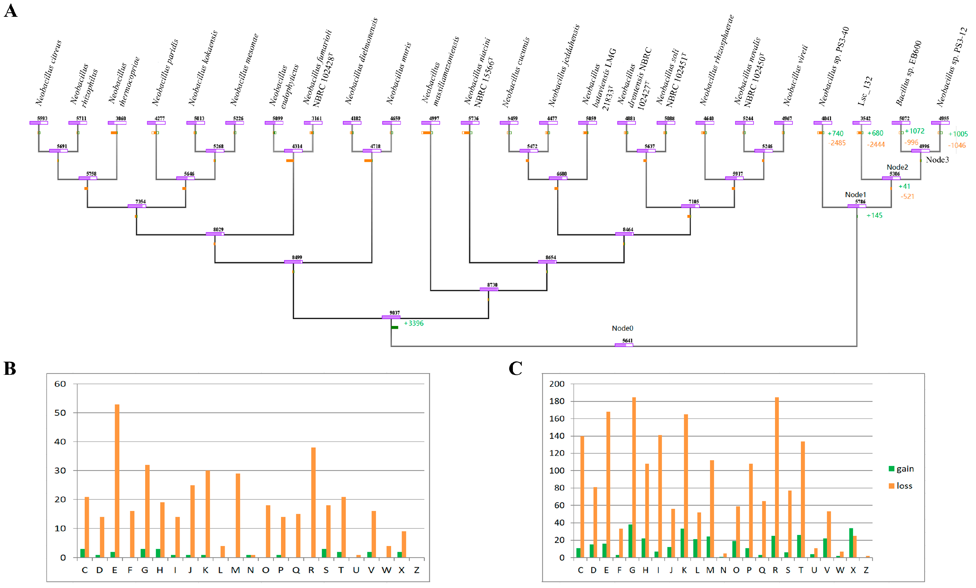 Microorganisms 13 00132 g007