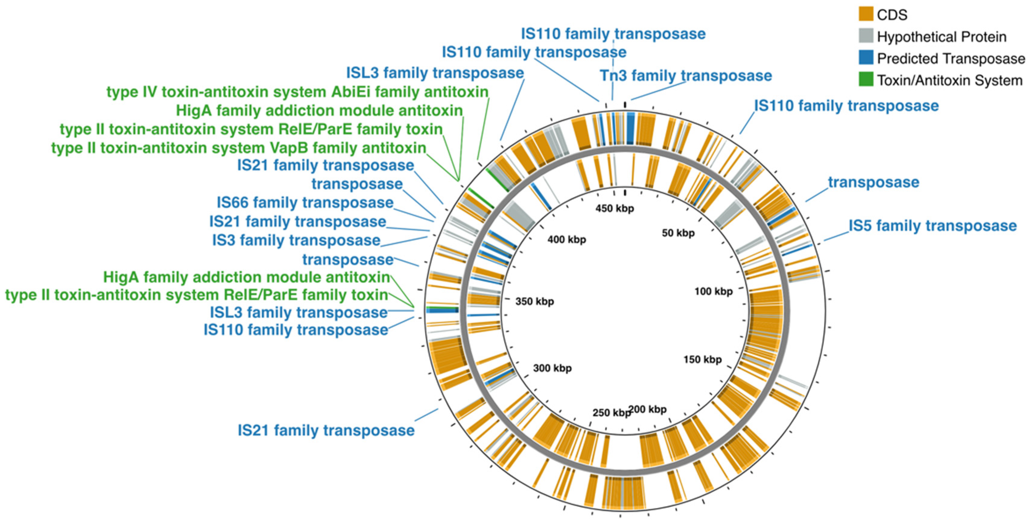 Microorganisms 13 00137 g001