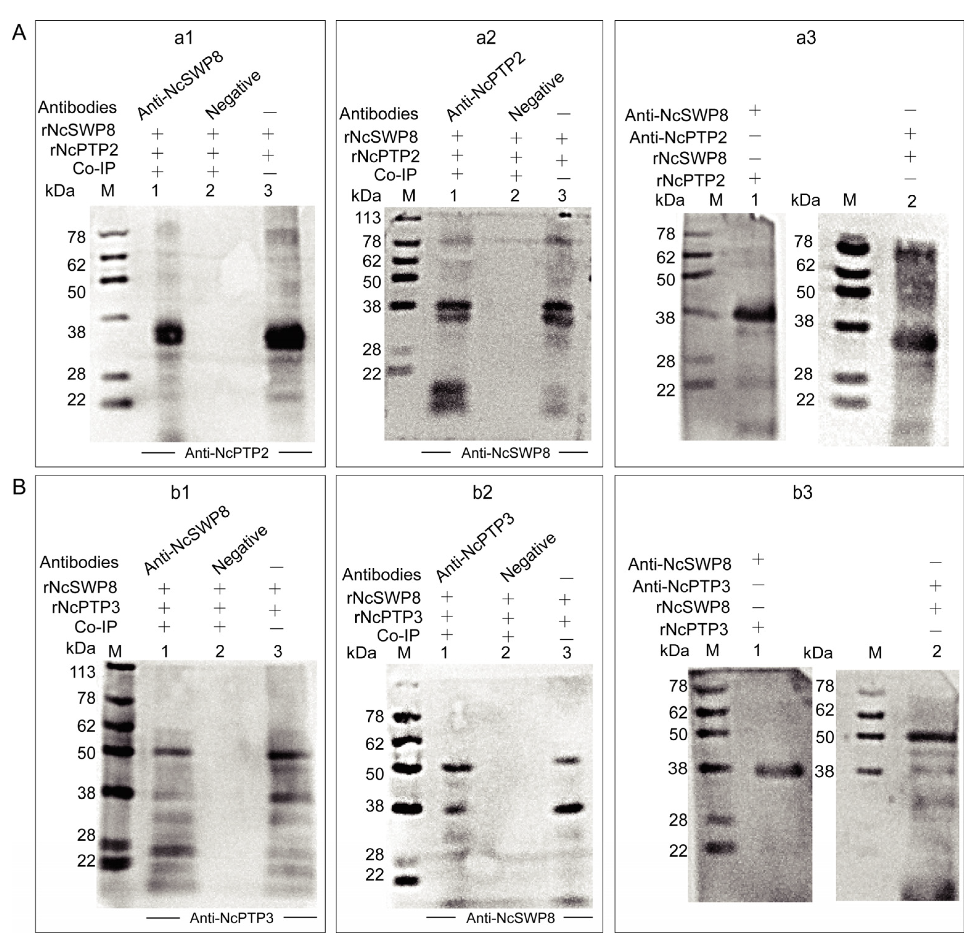 Microorganisms 13 00142 g009