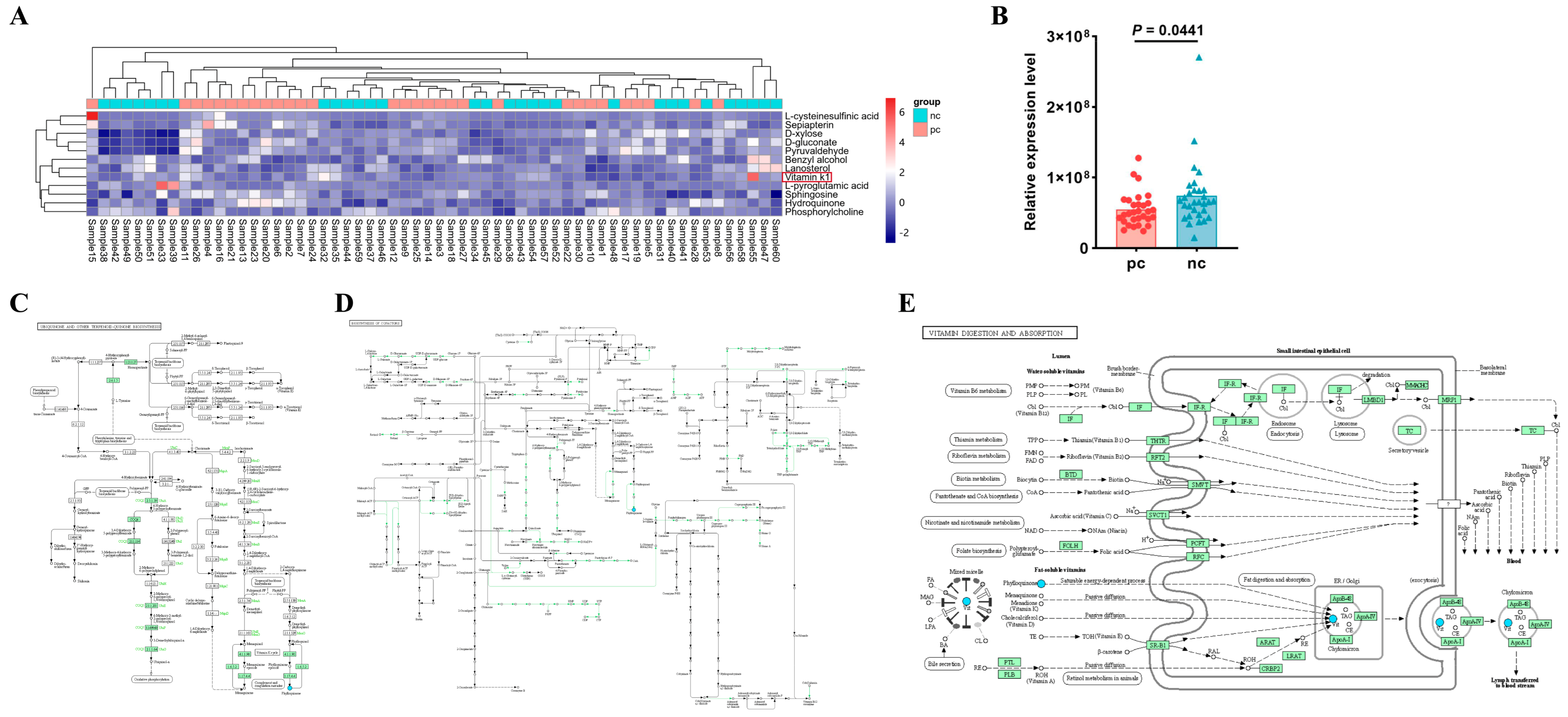 Microorganisms 13 00144 g003 Microorganisms 13 00144 g003