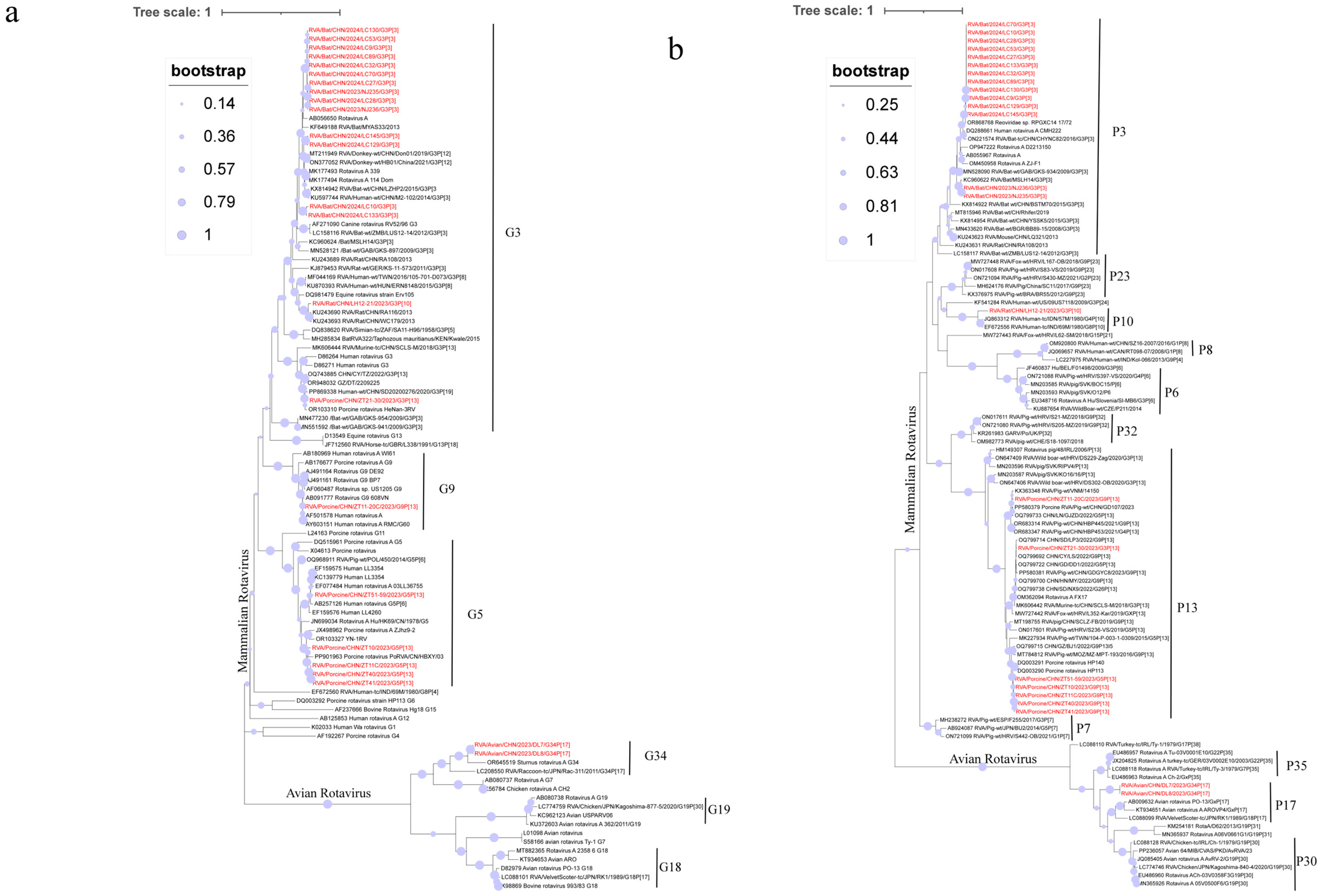 Microorganisms 13 00145 g001