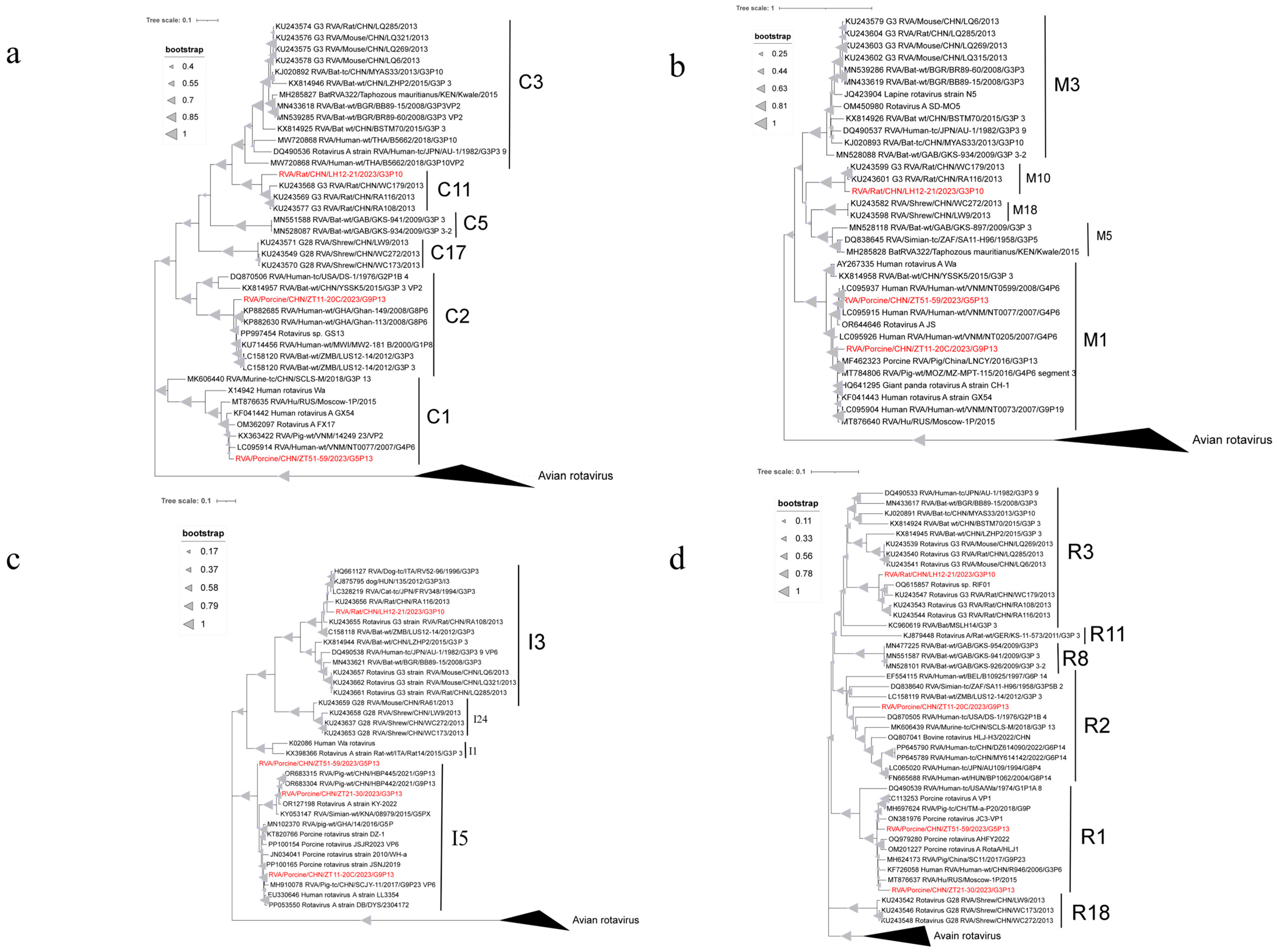 Microorganisms 13 00145 g002