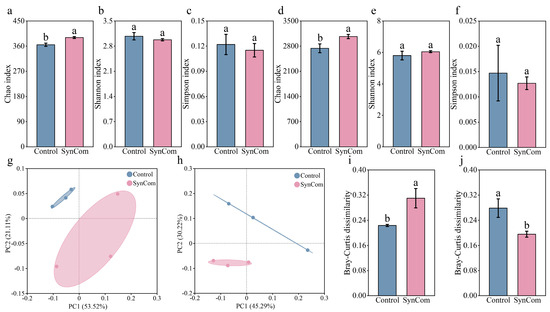 Synthetic Microbial Communities Enhance Pepper Growth and Root