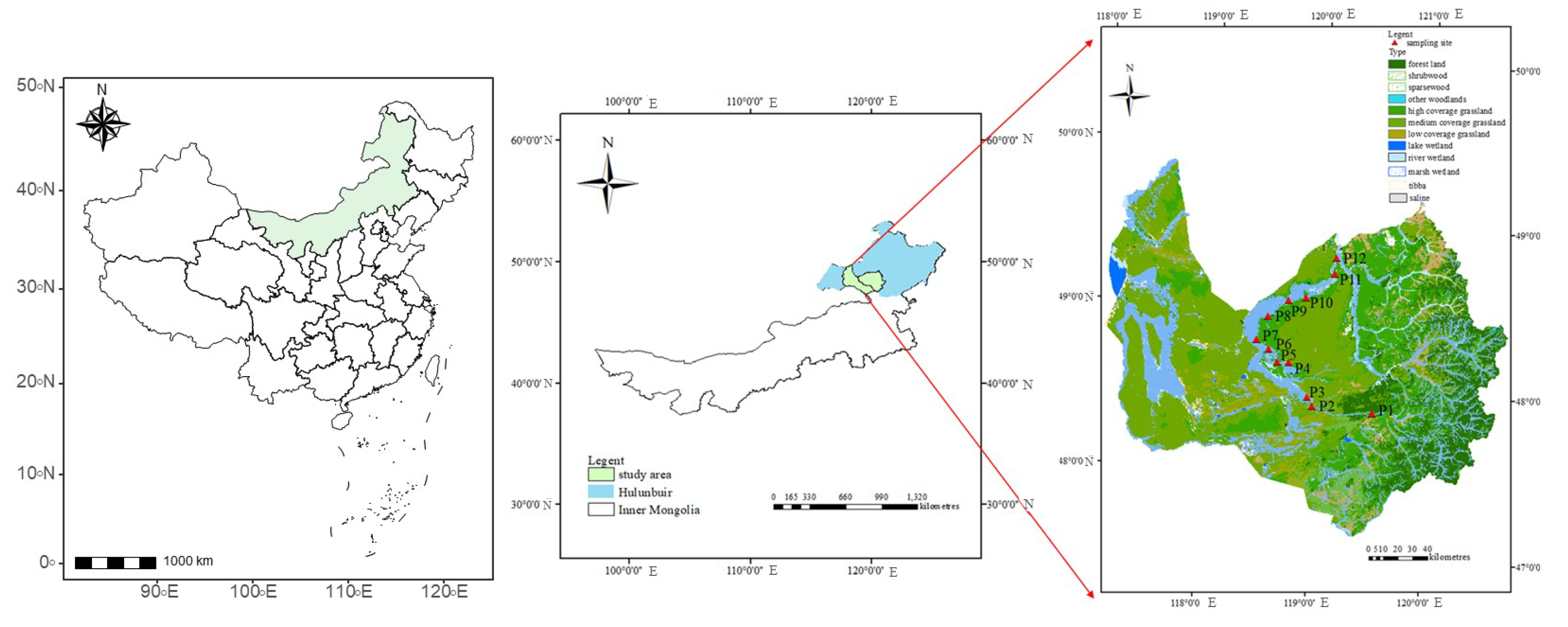 Microorganisms 13 00154 g001