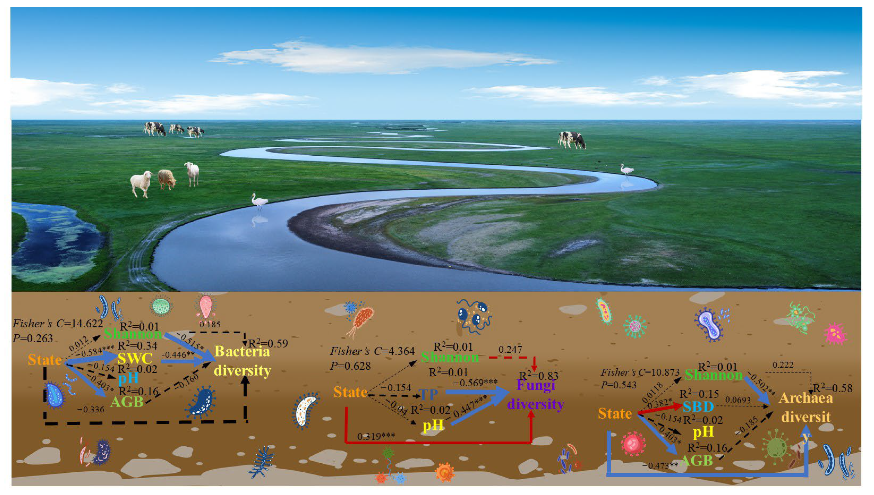 Microorganisms 13 00154 g007