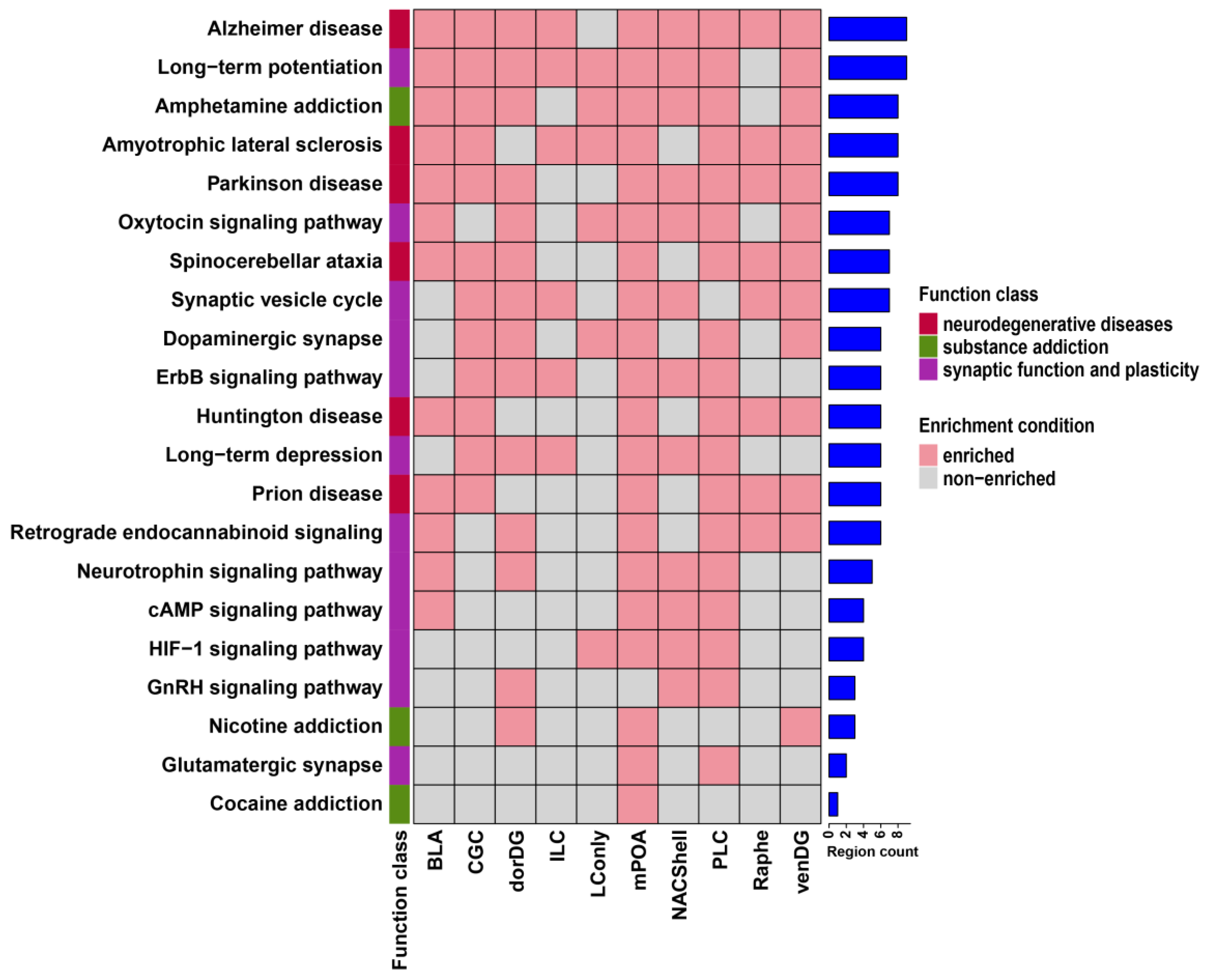 Microorganisms 13 00165 g004