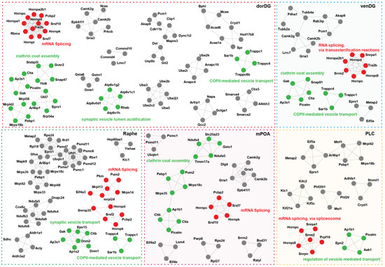 Changes in RNA Splicing: A New Paradigm of Transcriptional