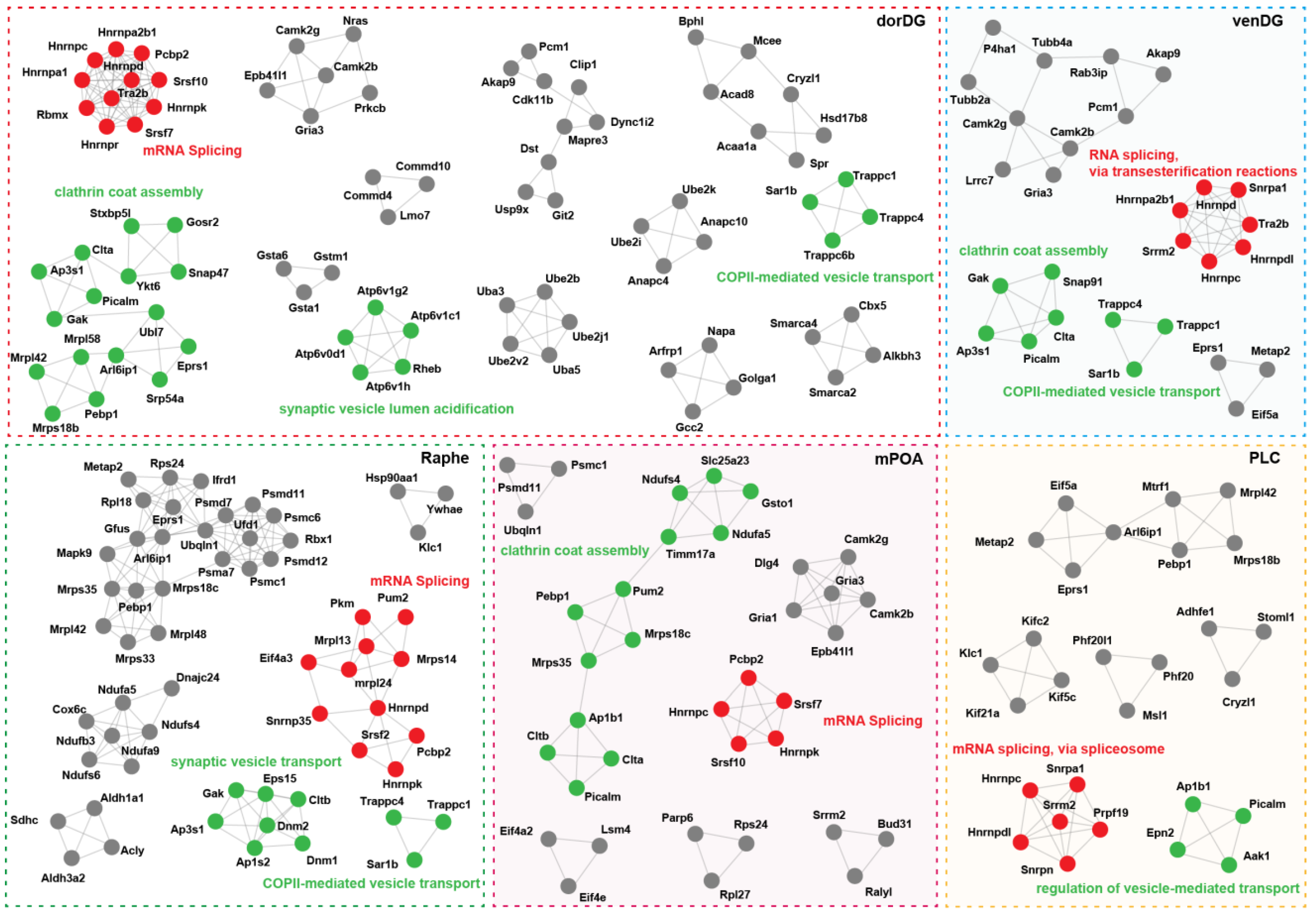 Microorganisms 13 00165 g005