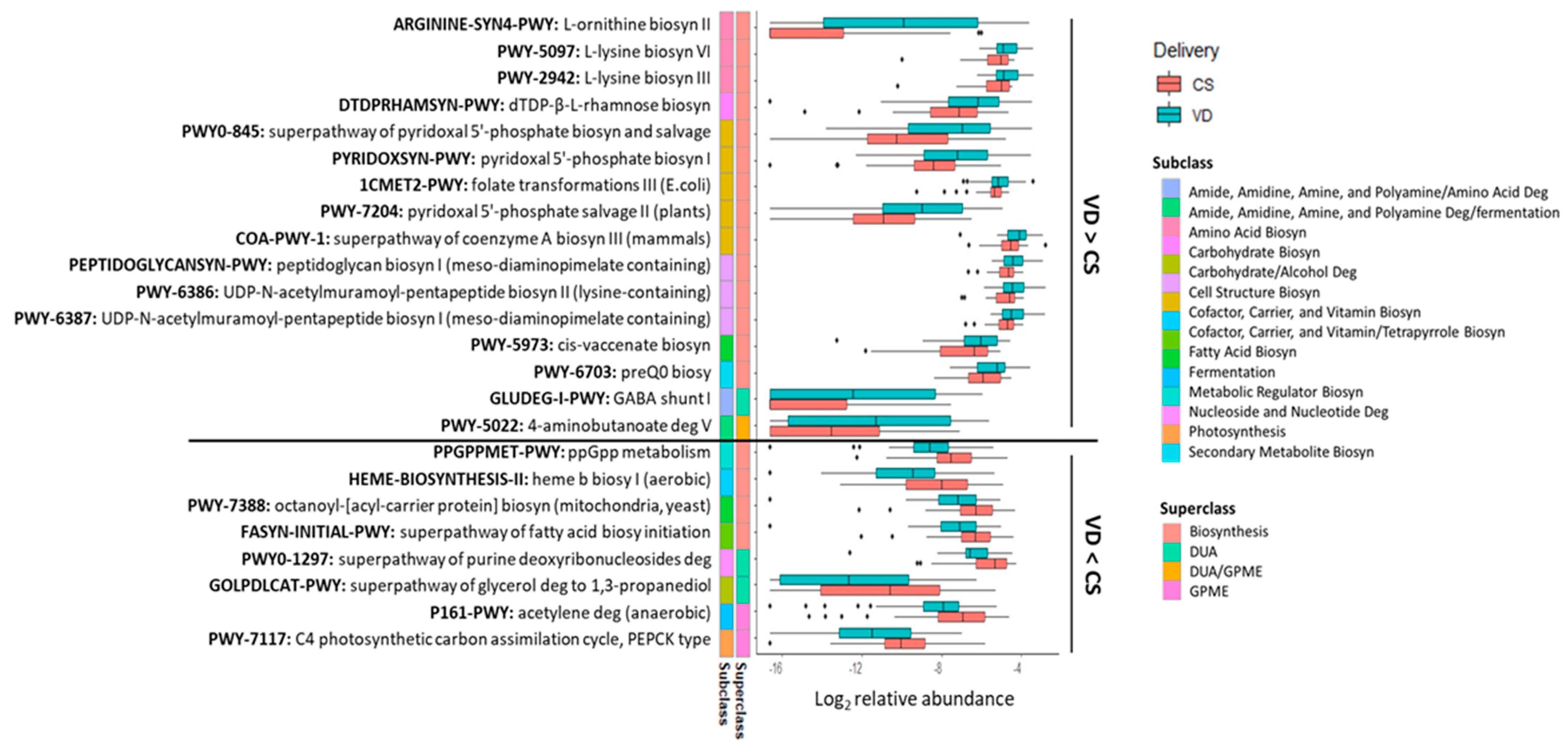 Microorganisms 13 00166 g005