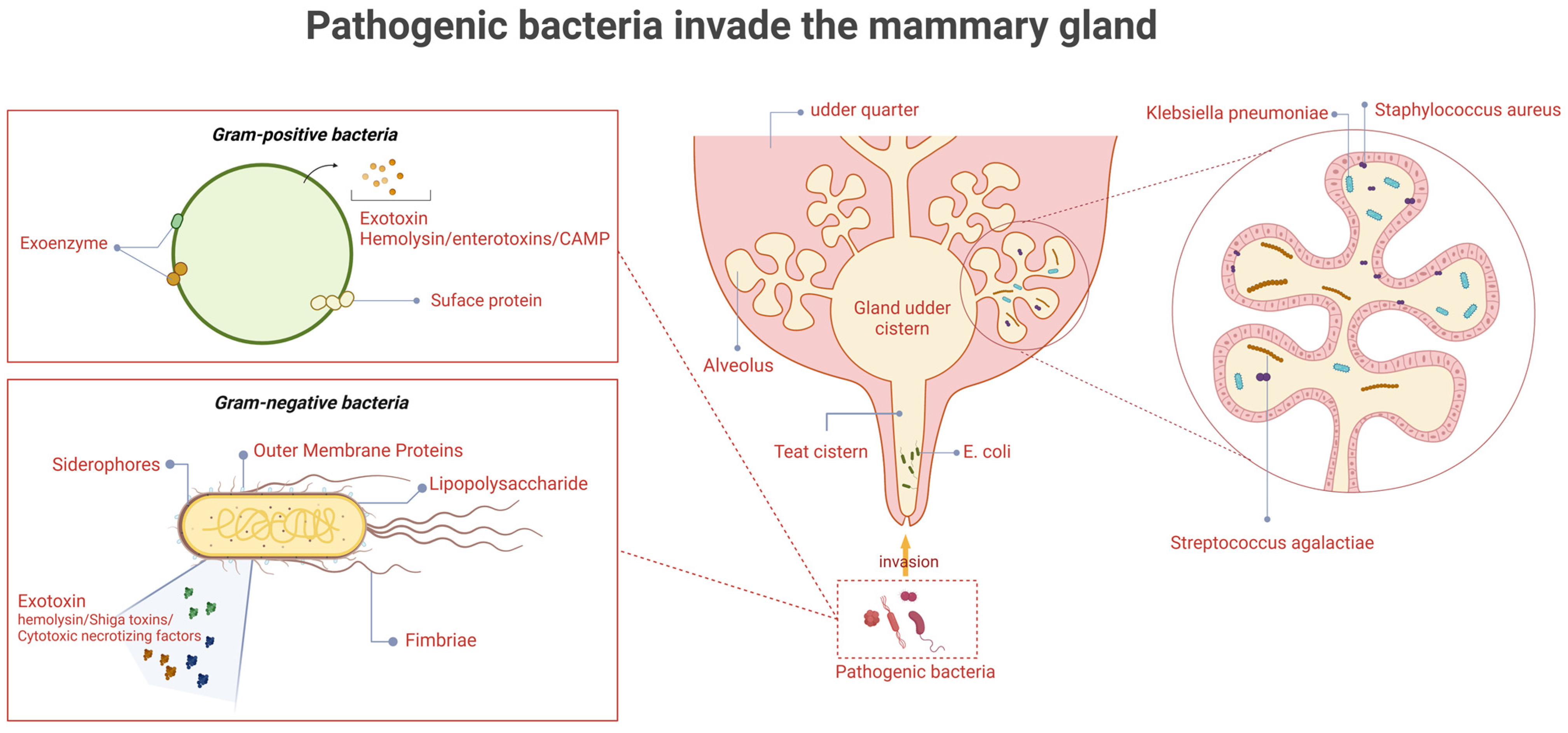 Microorganisms 13 00167 g001