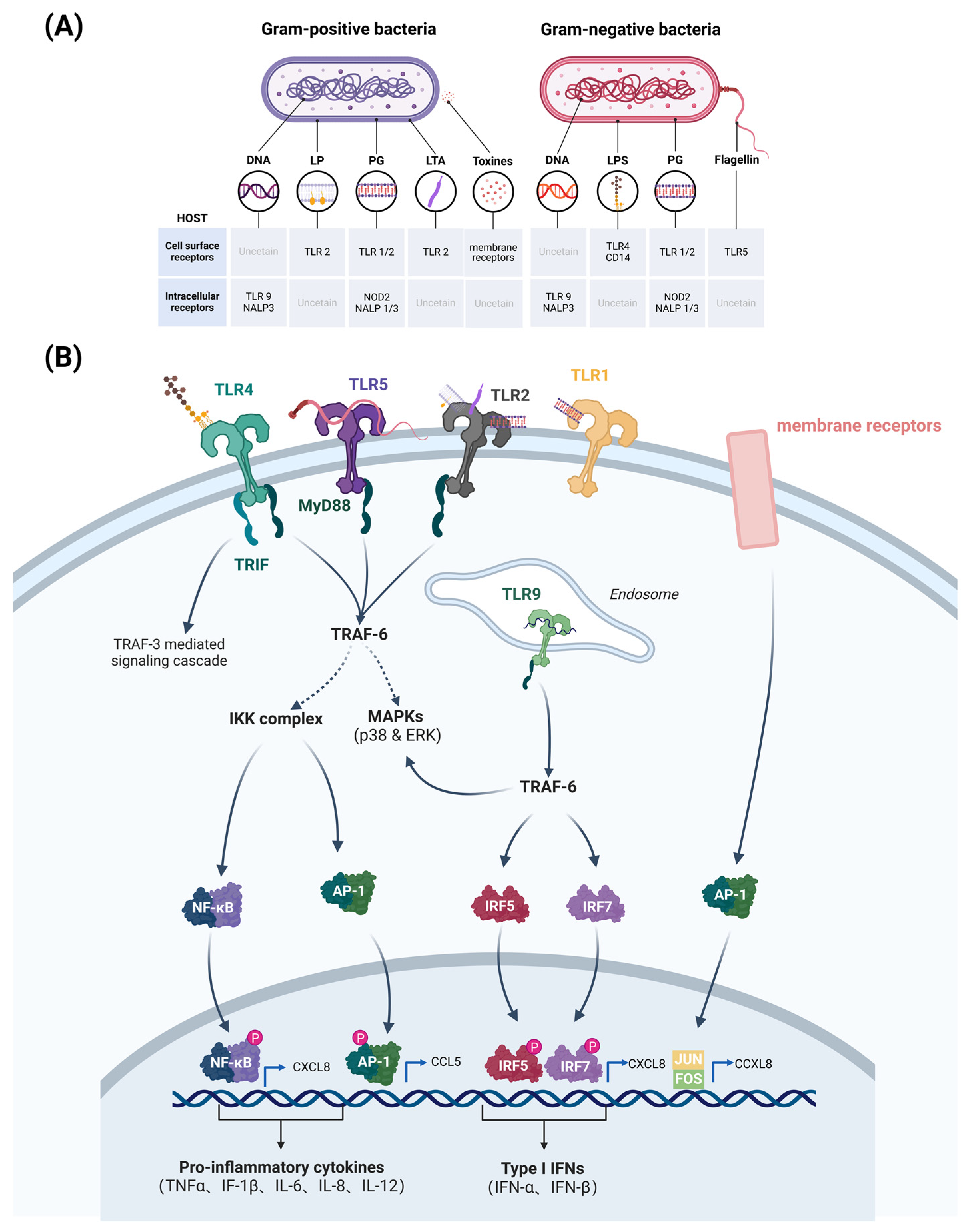 Microorganisms 13 00167 g002