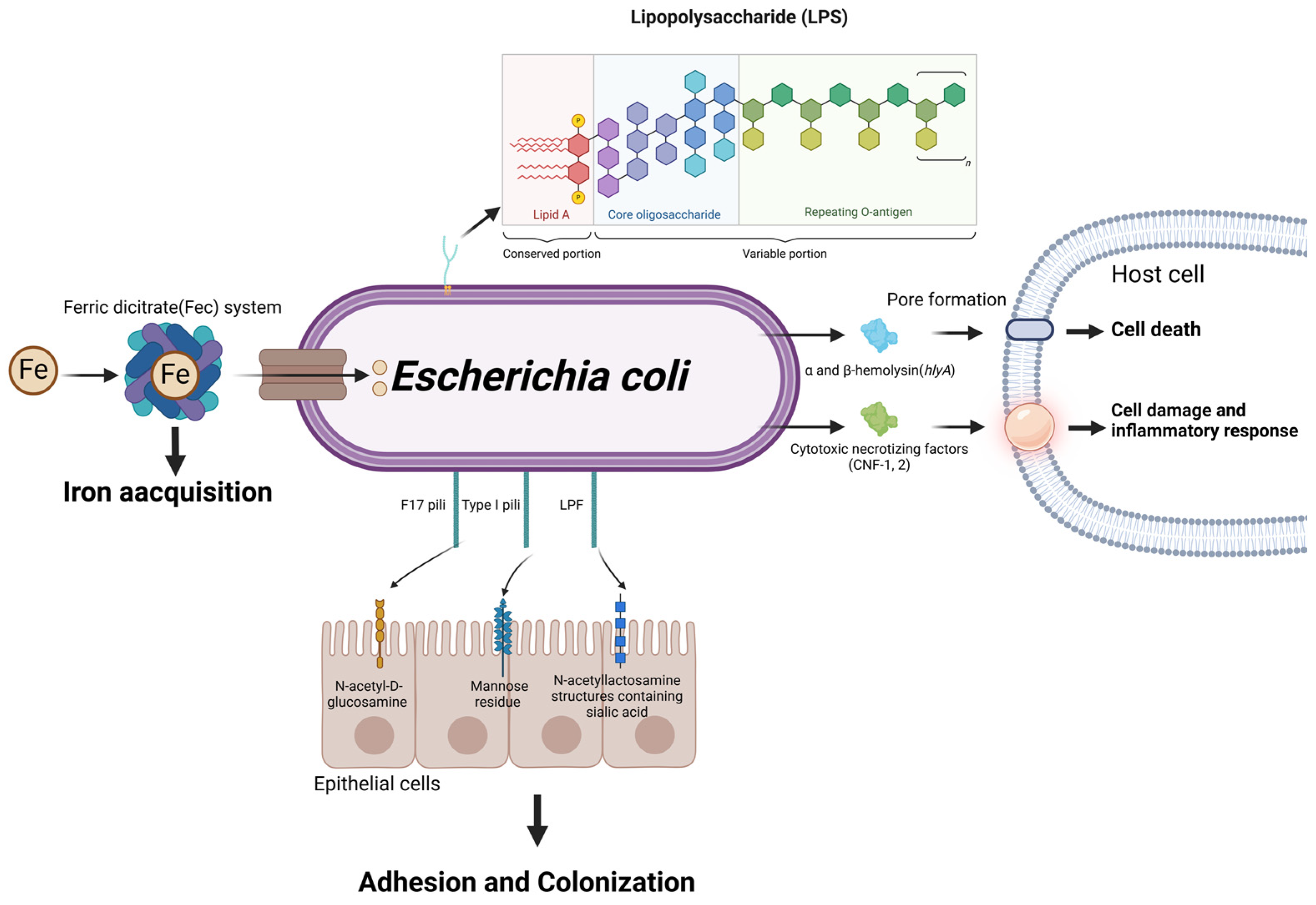 Microorganisms 13 00167 g006