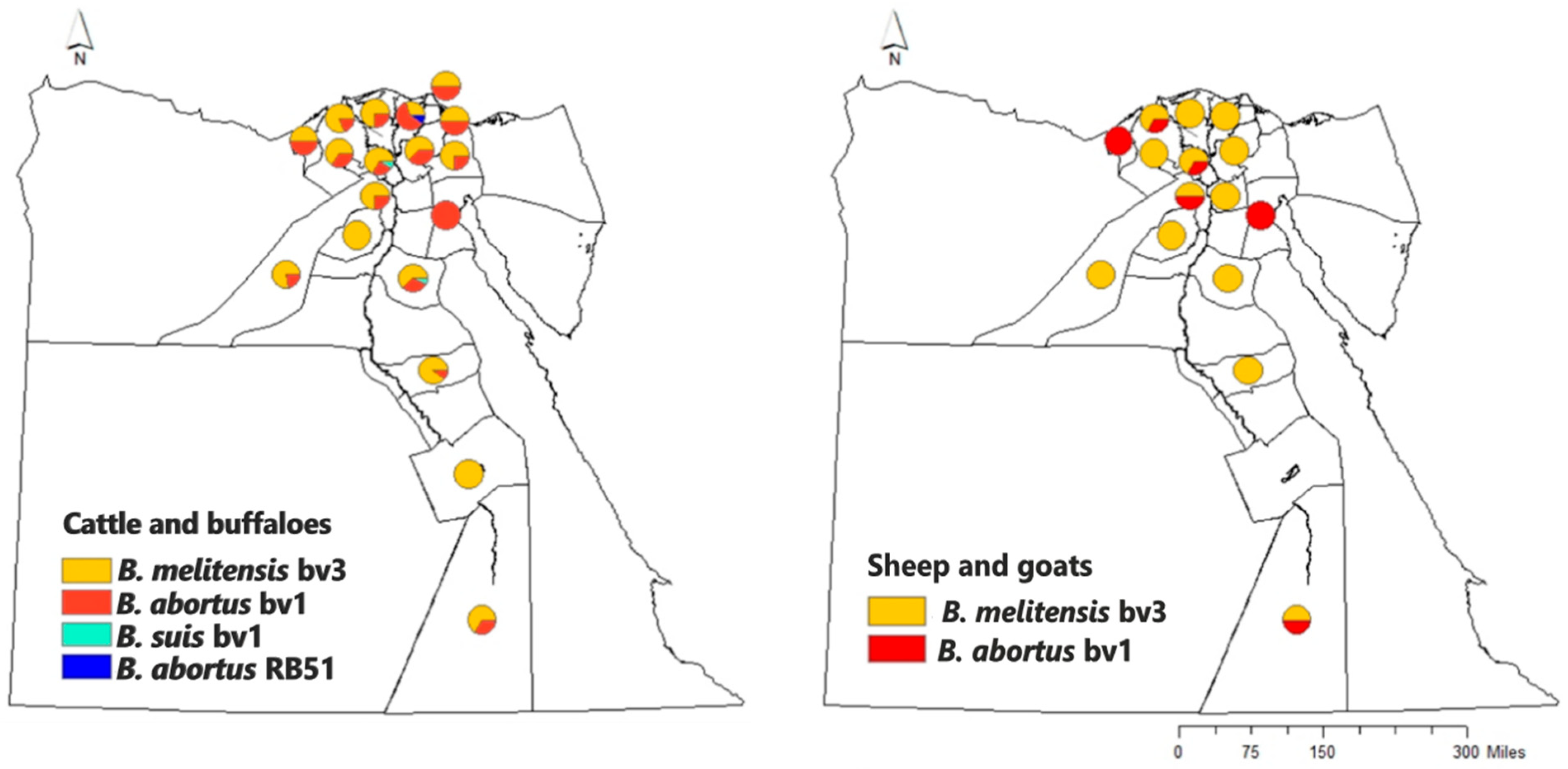 Microorganisms 13 00170 g006