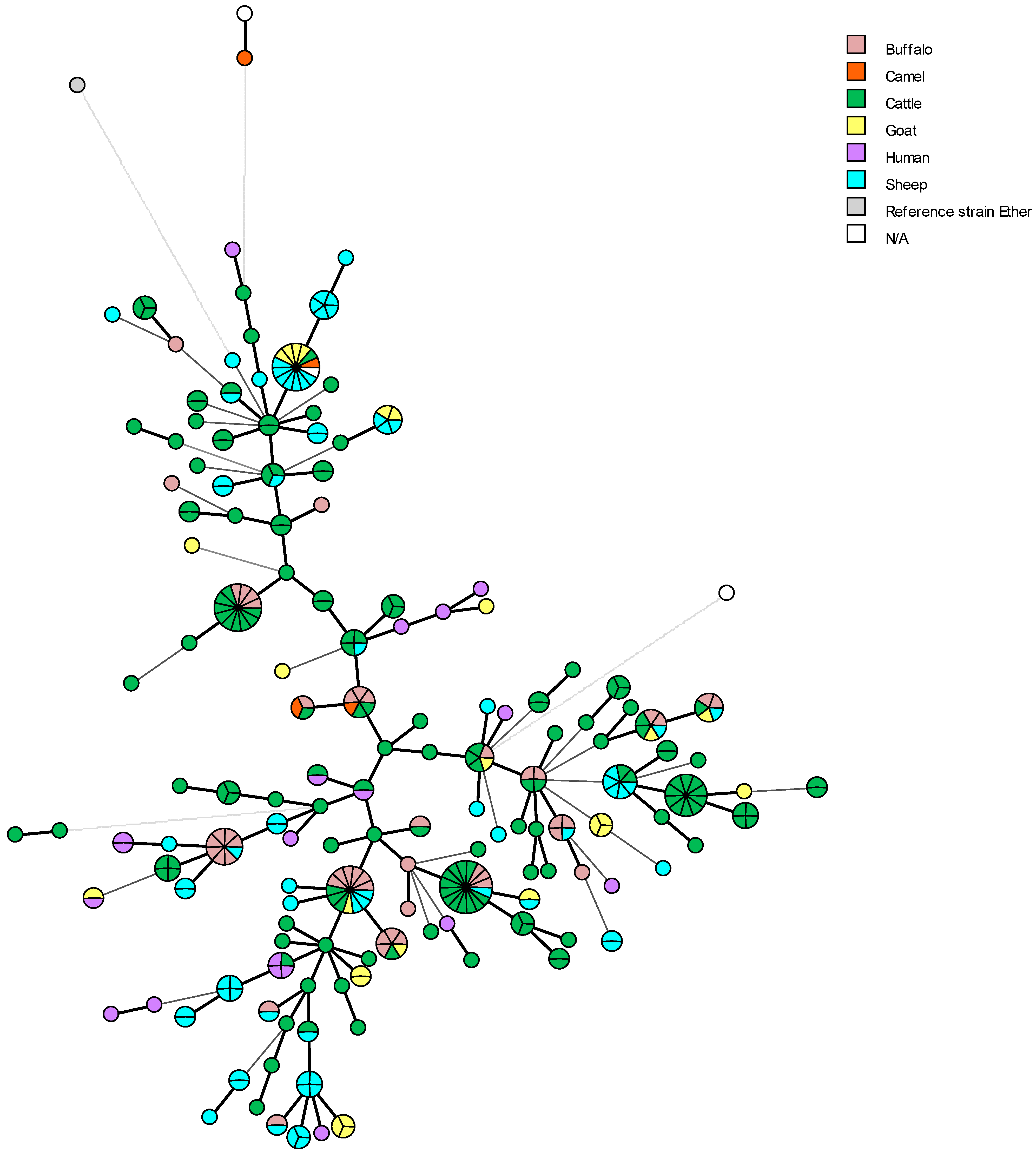 Microorganisms 13 00170 g011