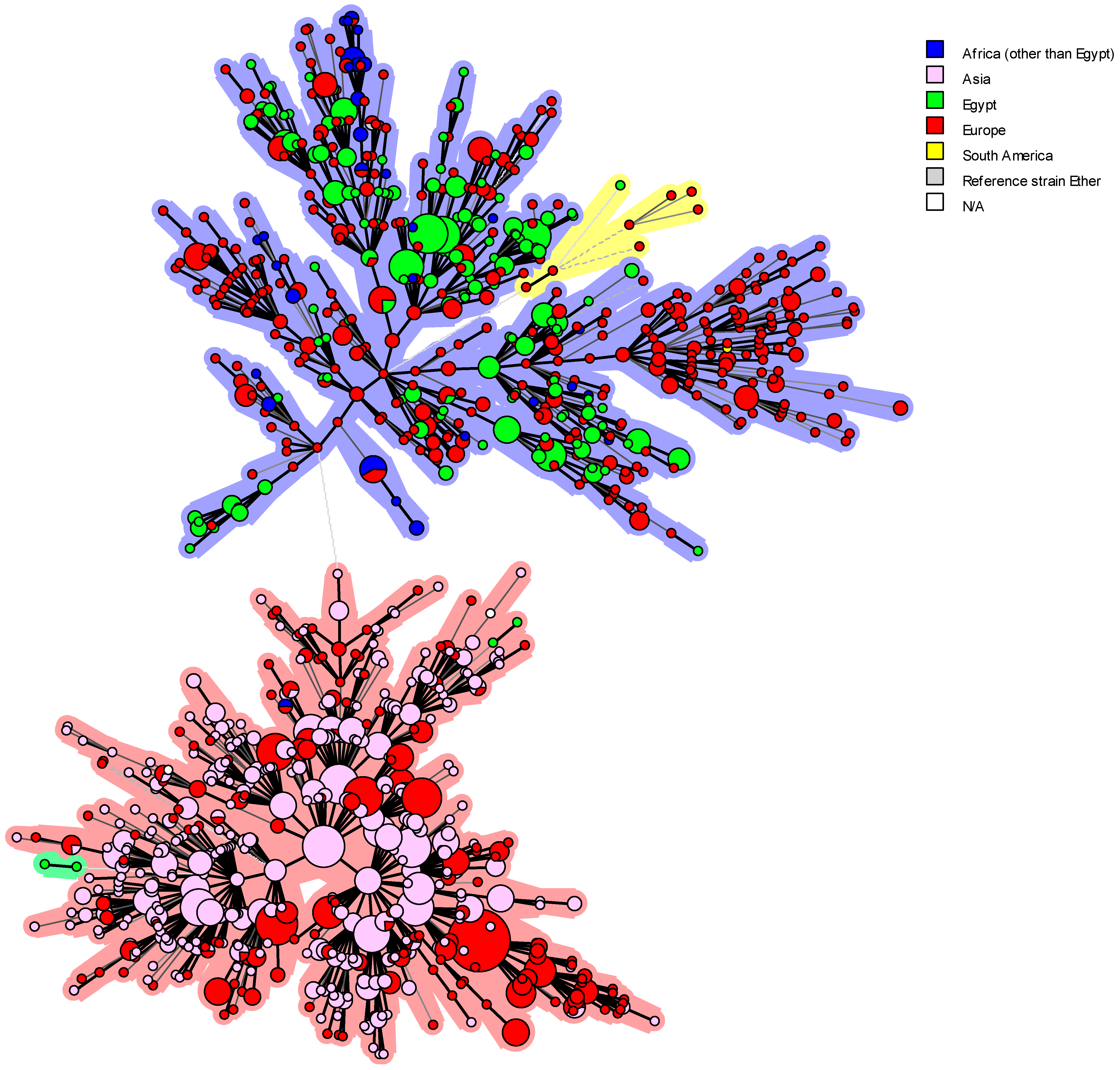 Microorganisms 13 00170 g013