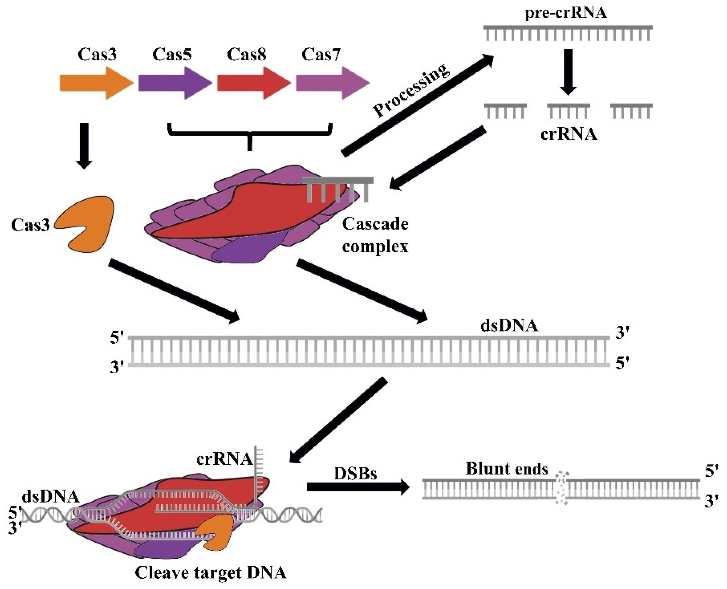 Microorganisms 13 00172 g002