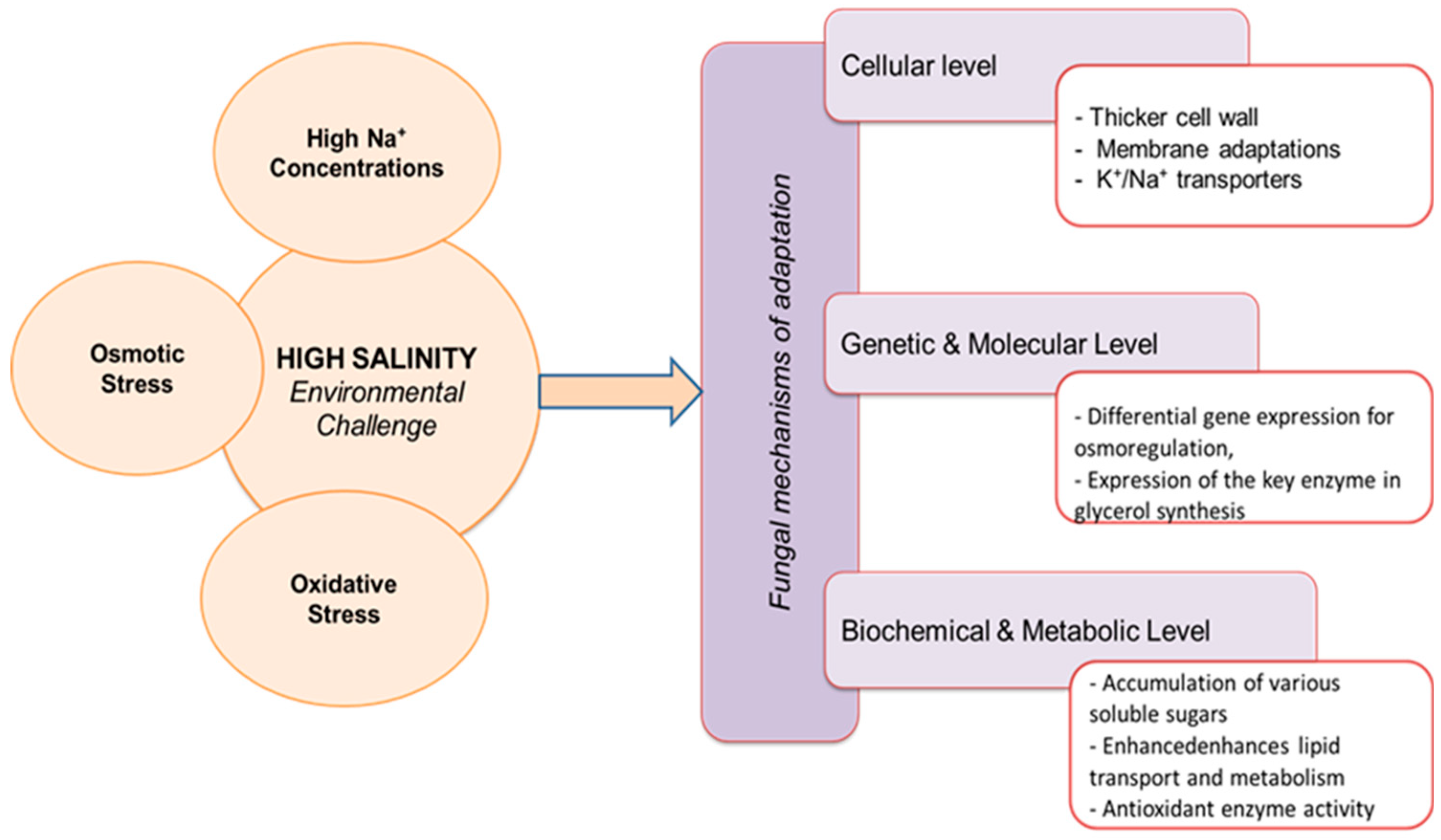 Microorganisms 13 00175 g001